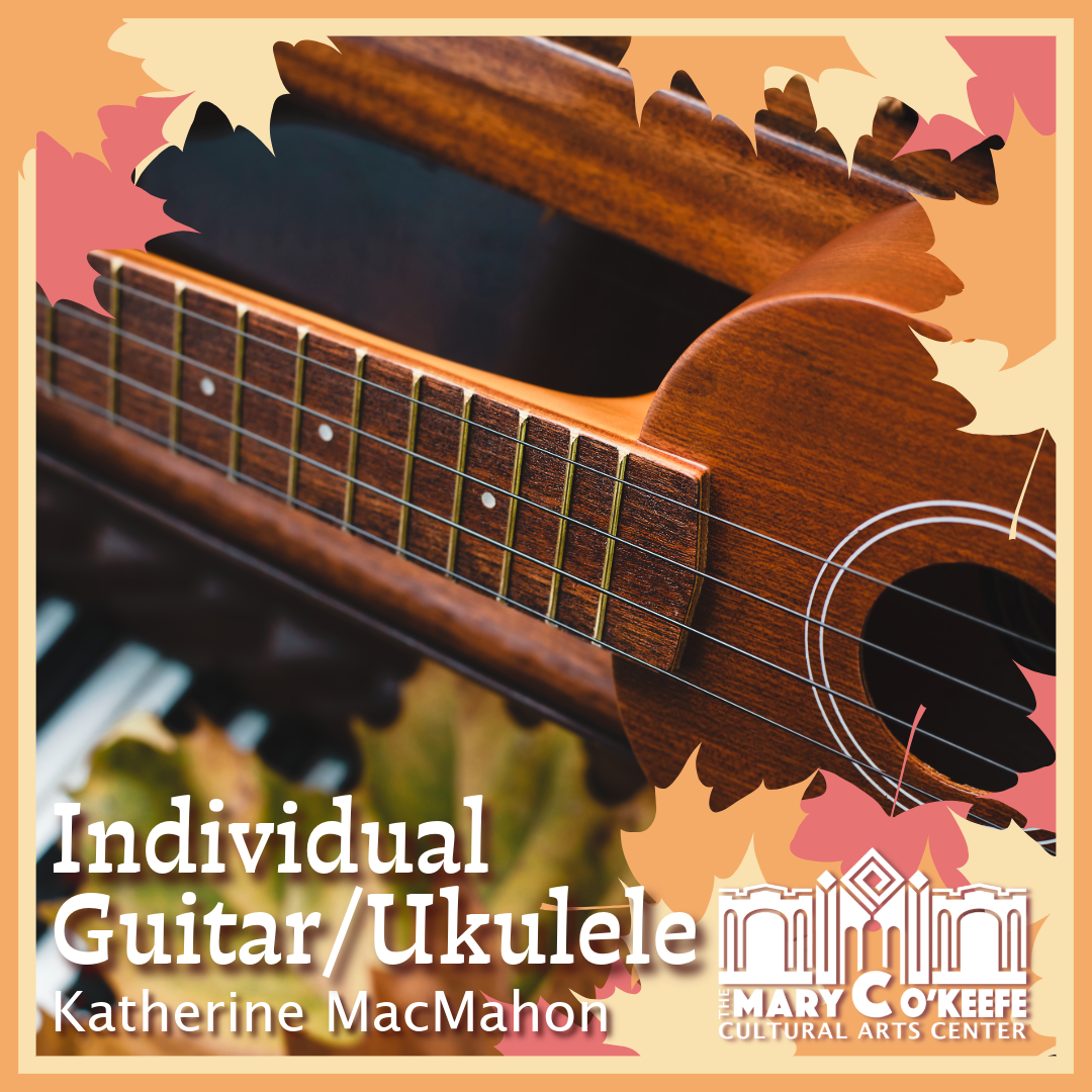 INDIVIDUAL BEGINNER GUITAR AND UKULELE LESSONS