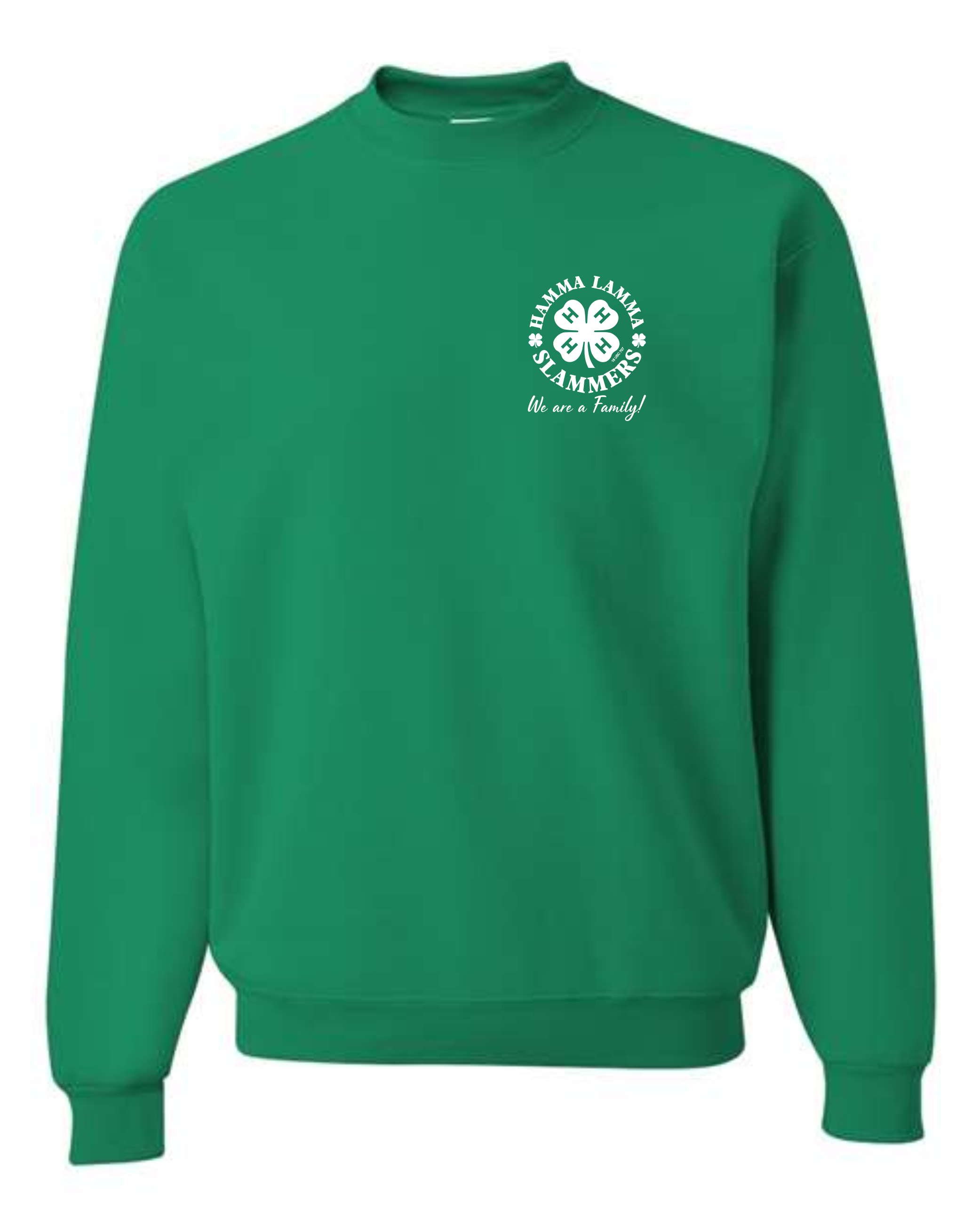 hls FRONT.png