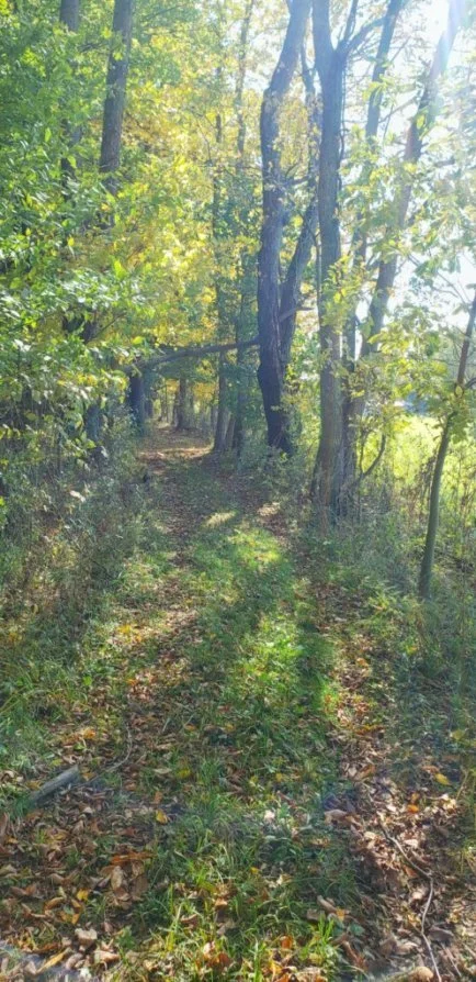 KthL2X0QQuyohb1pcKHPzg.jfif