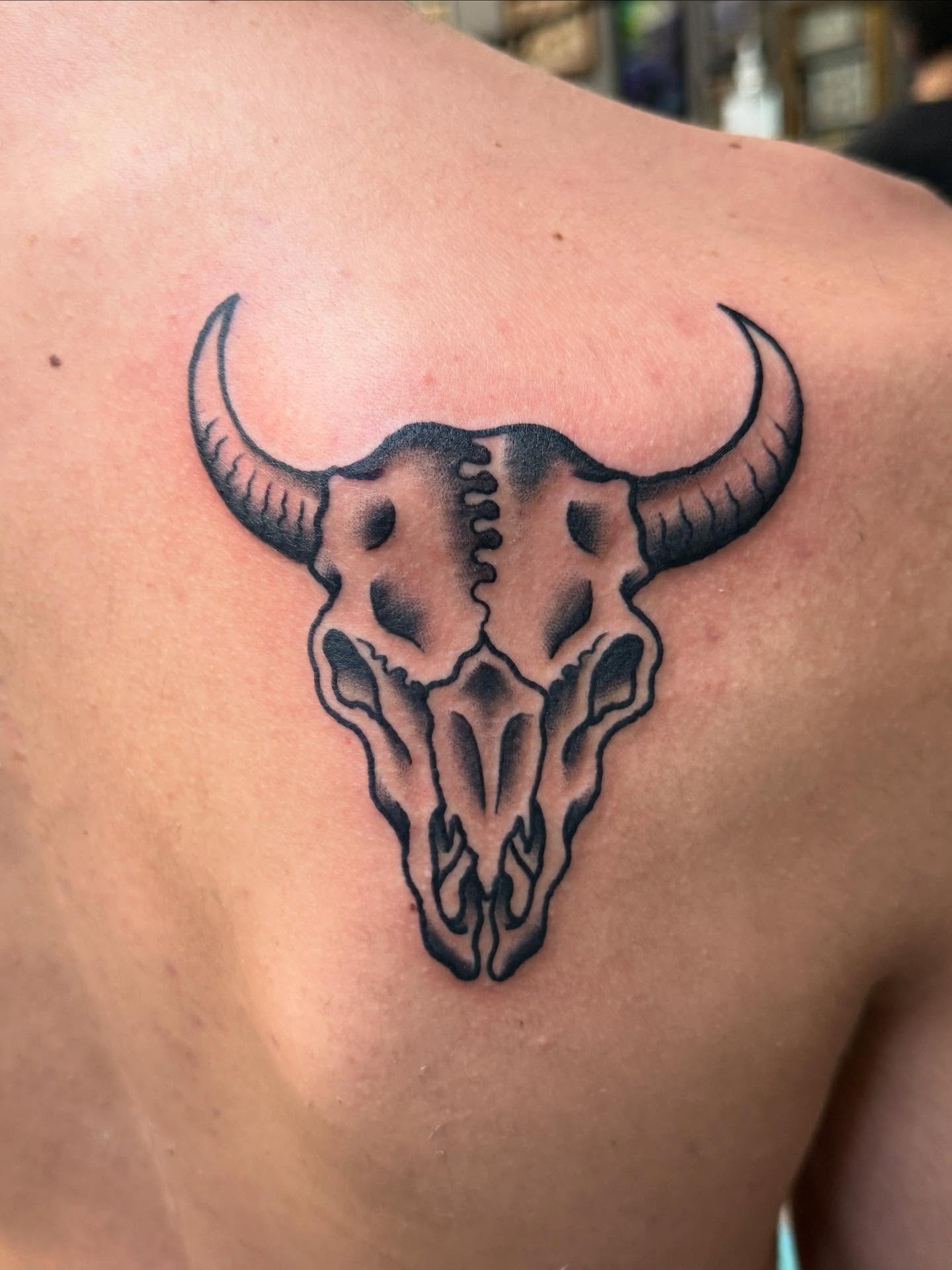 Cow skull by @jeffpatterson_tattoo