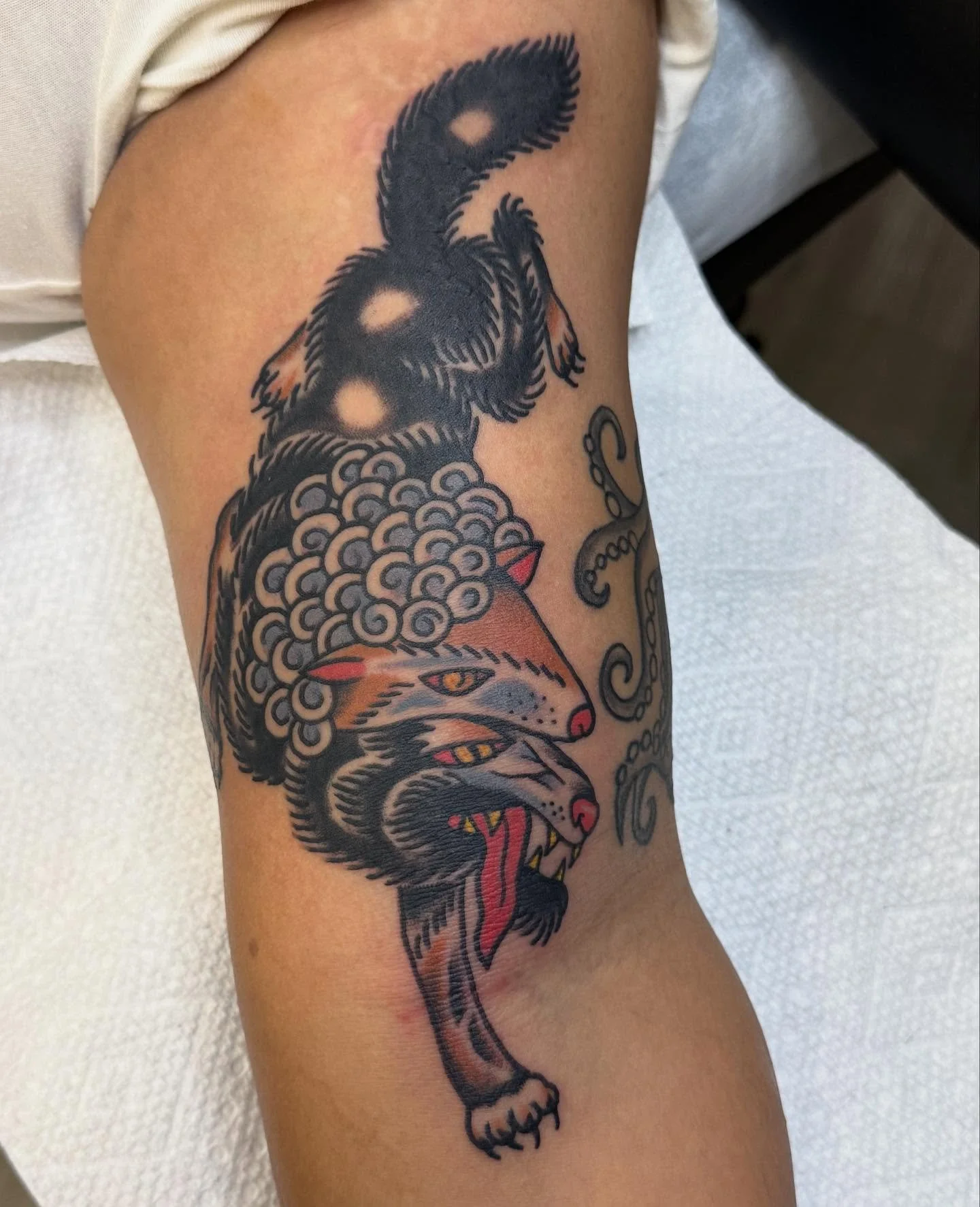Wolf in sheeps clothing tattoo by @jeffpatterson_tattoo 🐺

Walk-ins accepted until 8pm! Or book with us for a ideal date 

(318) 562-3021 📳  Ghostfiretattoo.com👩&zwj;💻🧑&zwj;💻

#louisiana #shreveporttattooartist #shreveportla