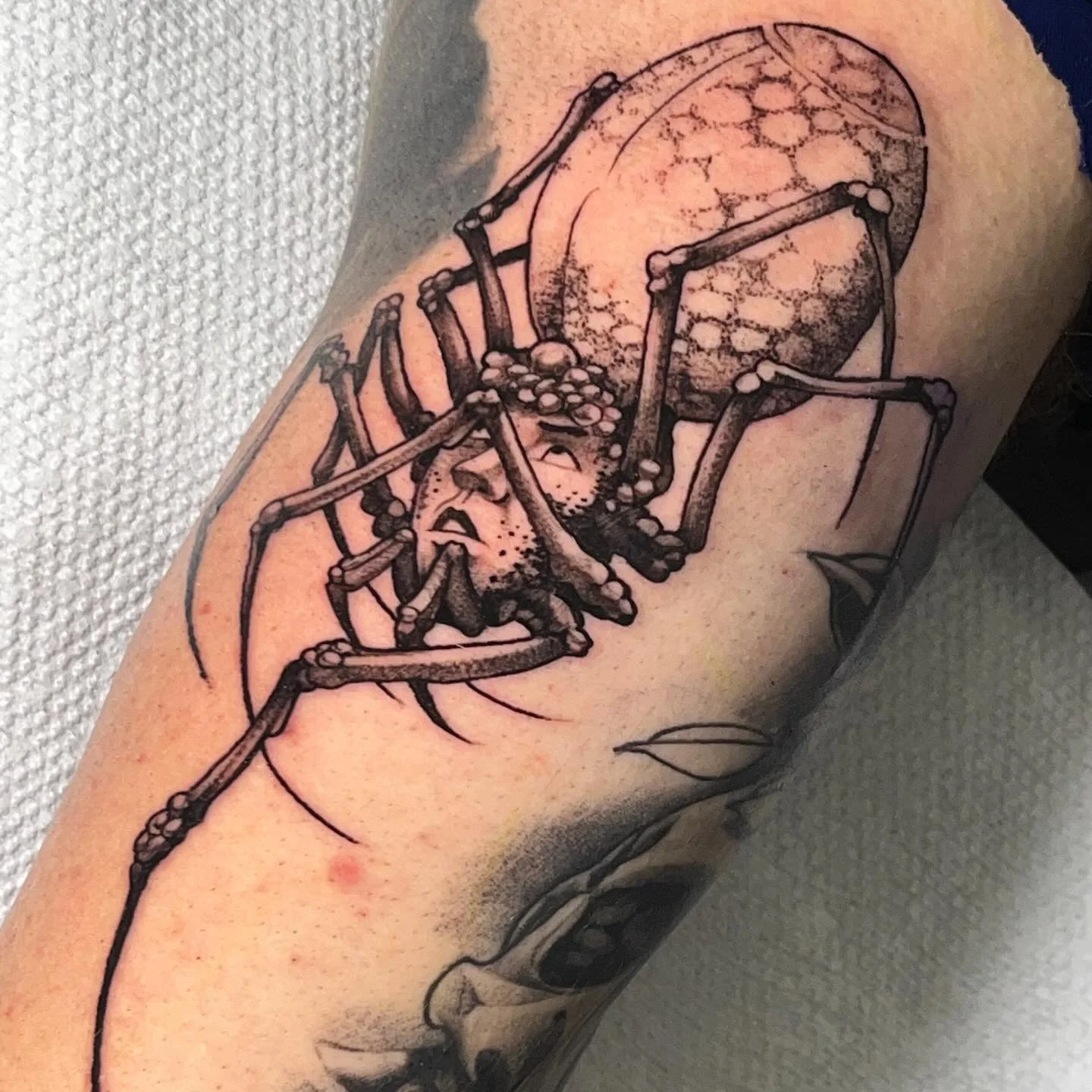 Check out this sick ass spider done by @urban_davinci 
We take walk-ins! 
Here 12-8 DAILY
We&rsquo;d love to see ya! come on in
(318)-562-3021☎️