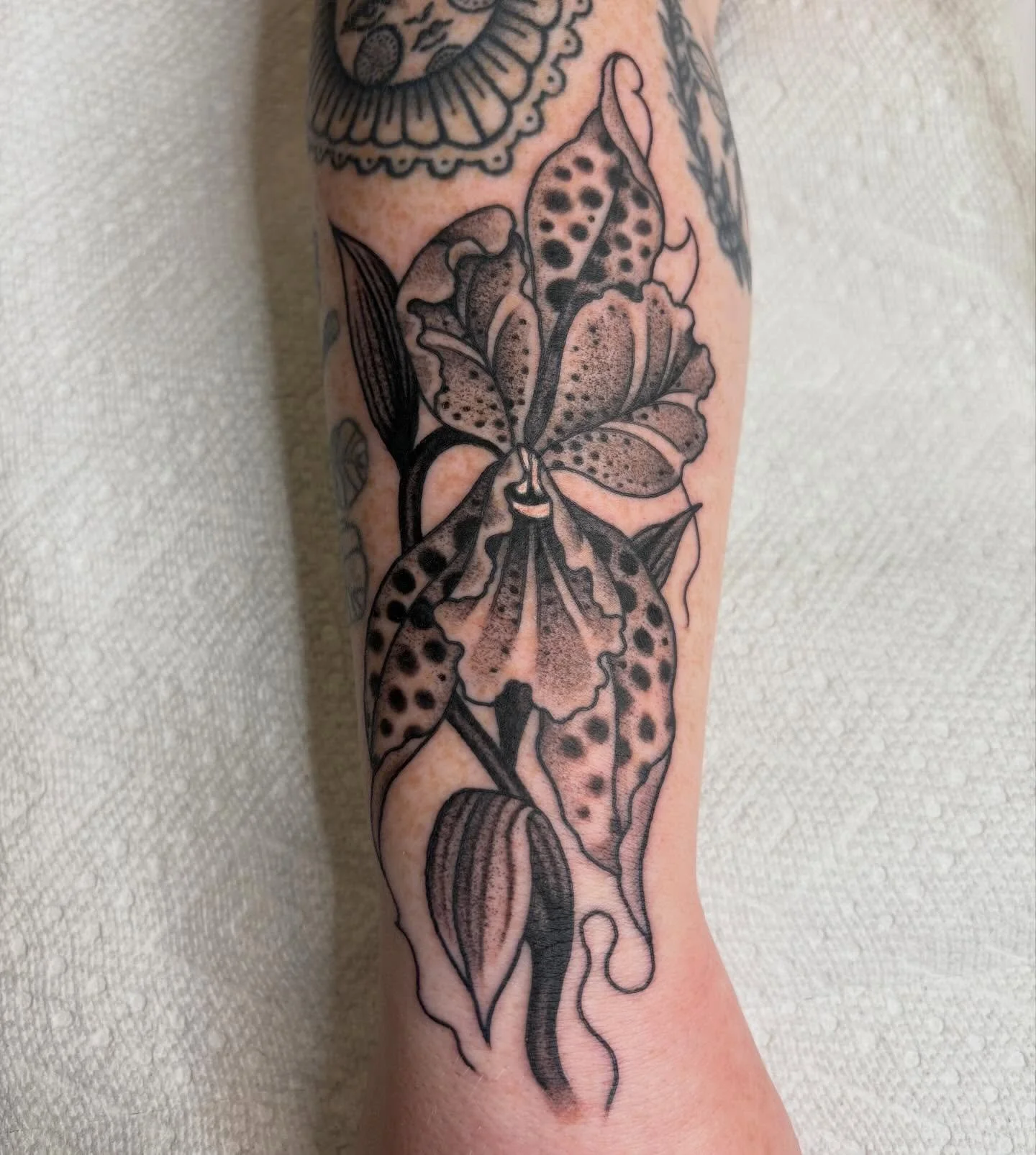 Here&rsquo;s a cute one done by @johnbentrup 
Walk-in&rsquo;s welcome!
Here 12-8 daily!
(318)-562-3021☎️