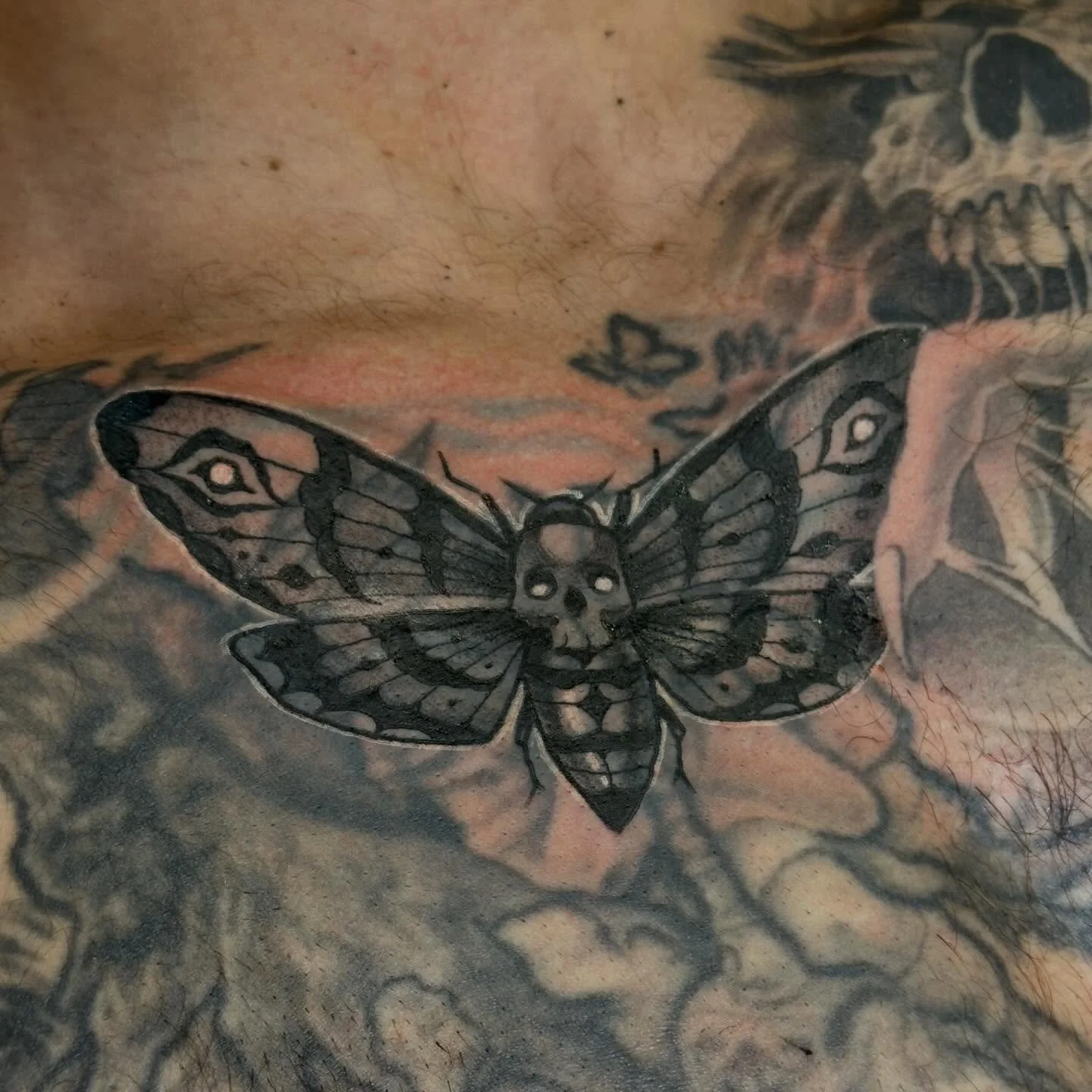 Check out this sick ass blast over moth, done by @urban_davinci 
Walk-ins welcome!
Here 12-8 daily!
Come on in
(318)-562-3021☎️