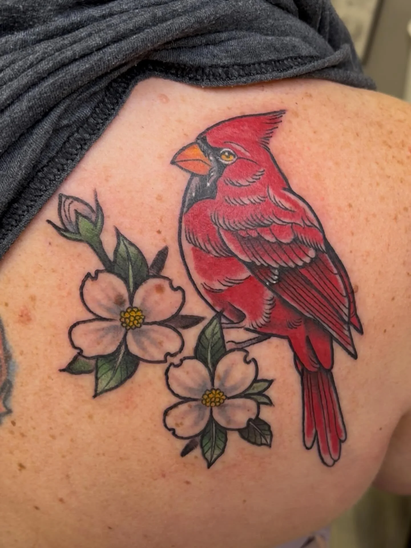Precious cardinal done by @urban_davinci 
We're here 7 days a week, 12-8‼️
Stop in or book online to set up your next appointment 
#cardinals #coloredtattoo #shreveportla
