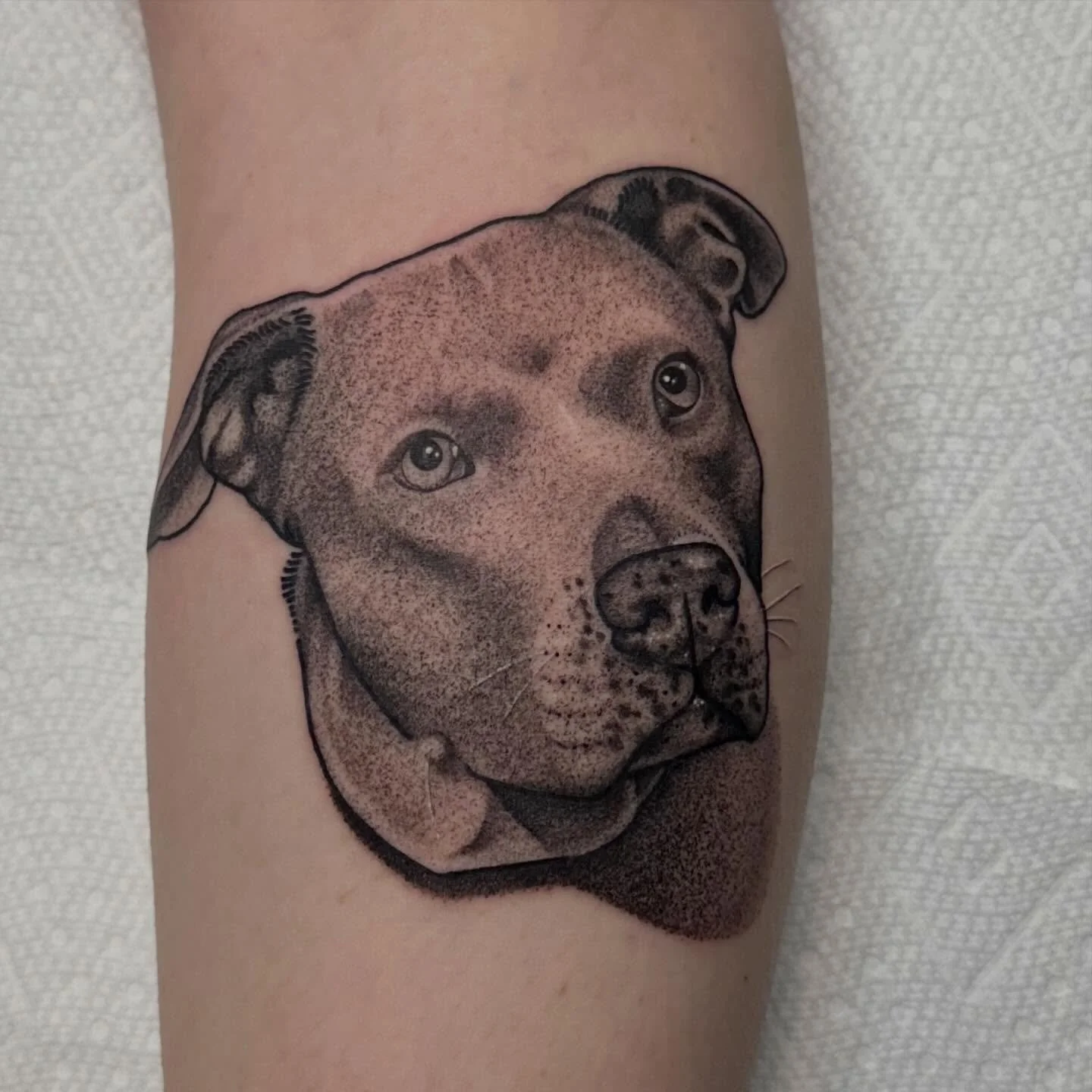 Check out this lil pupper done by @johnbentrup 
Walk-ins welcome!
Here 12-8 daily!
(318)-562-3021☎️