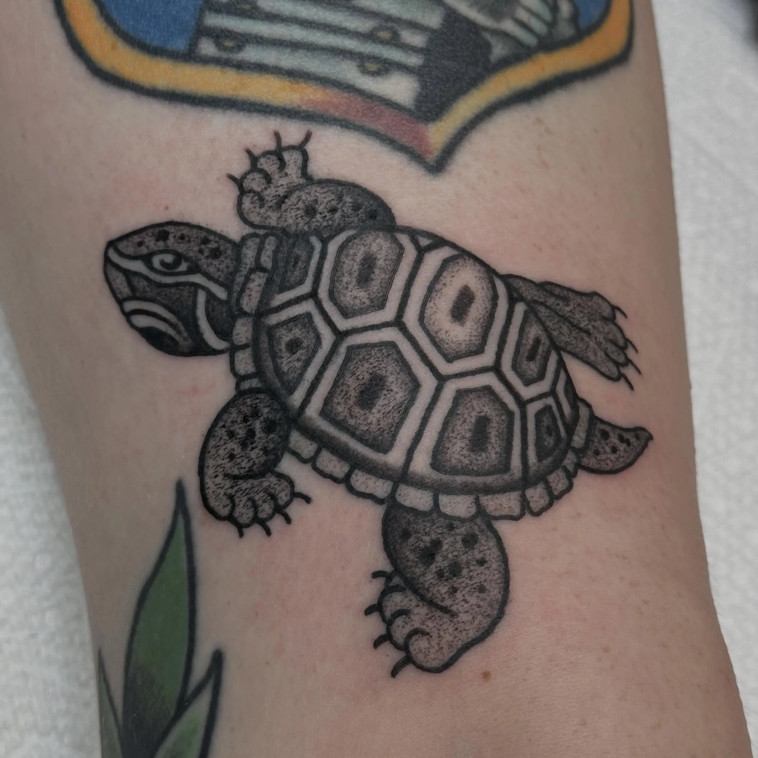 lil turtle done by @johnbentrup 
Walk-ins welcome!
We&rsquo;re here 12-8 seven days a week!
come see us!
(318)-562-3021☎️