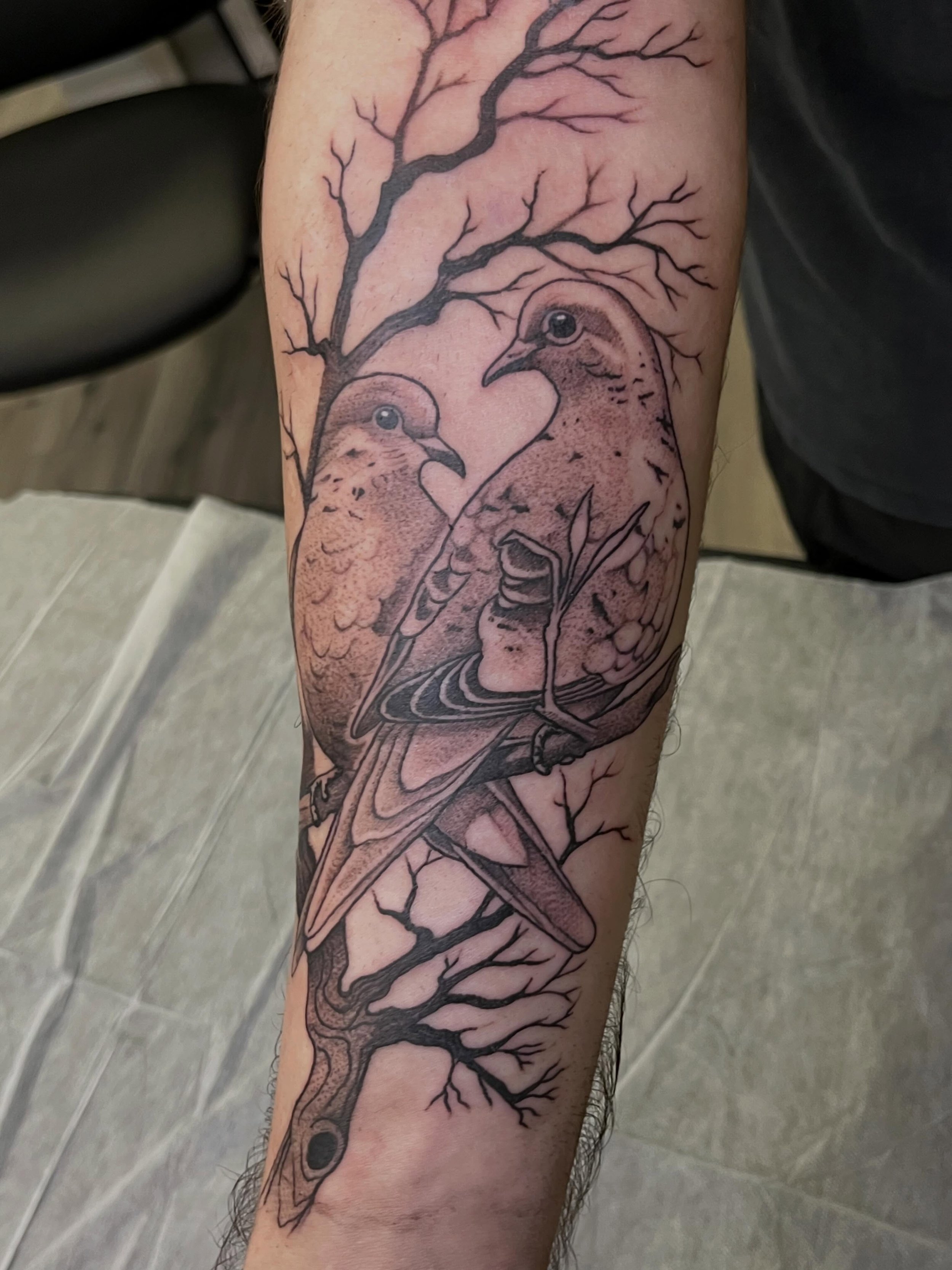 Mourning doves by @urban_davinci