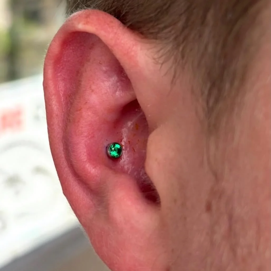 in love with this conch our piercing apprentice @justa.lilpinch did a few days ago😍
To schedule a piercing appointment, go to our website! ghostfiretattoo.com 🕷️
APPRENTICE PIERCINGS ARE 18+ ONLY.