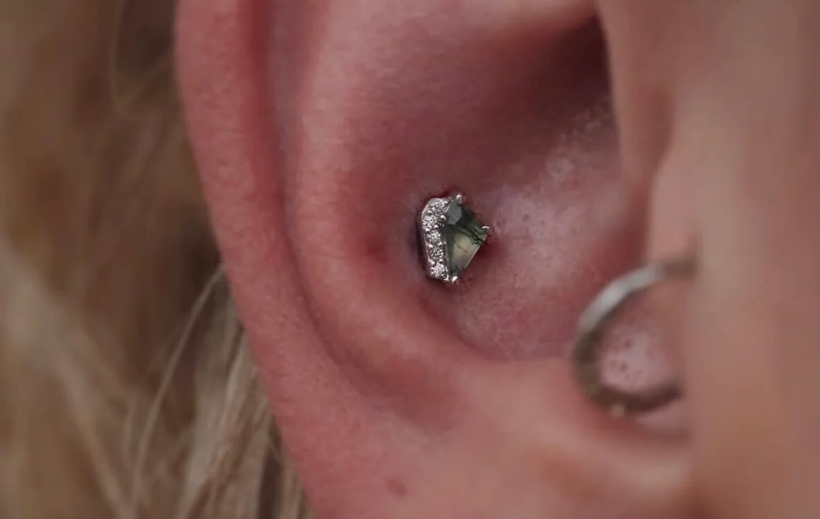 Check out this Moss Agate conch😍 Done by @darby.pokes 
Walk-ins welcome!
or you can schedule and appointment through our website ghostfiretattoo.com
Here 12-8 daily
(318)-562-3021☎️