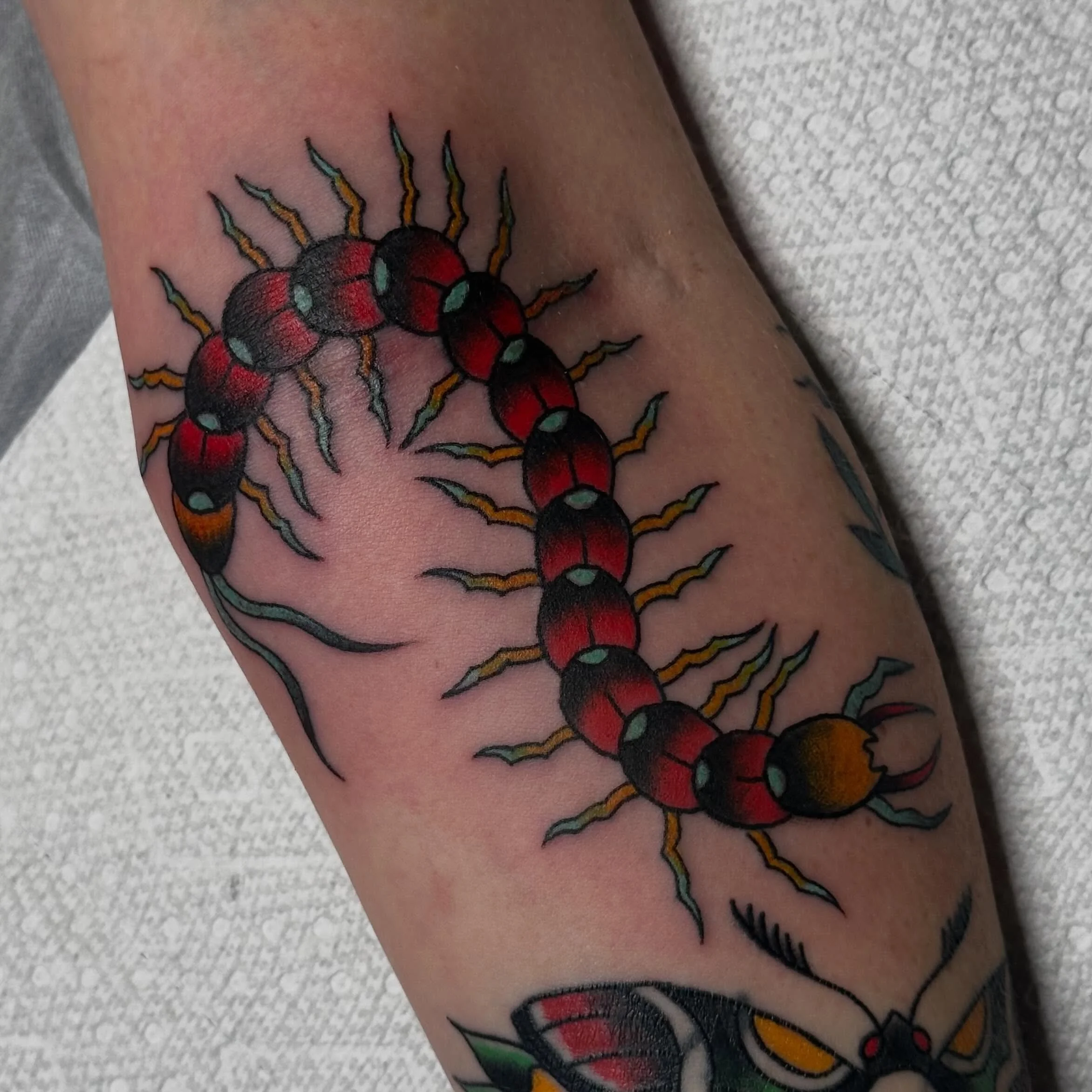 Millipede right in the ditch!! done by @shanemccormicktattoos 
Tattoos done bright and bold, made to last, done here DAILY
Walk-ins welcome!
Here 12-8
(318)-562-3021☎️