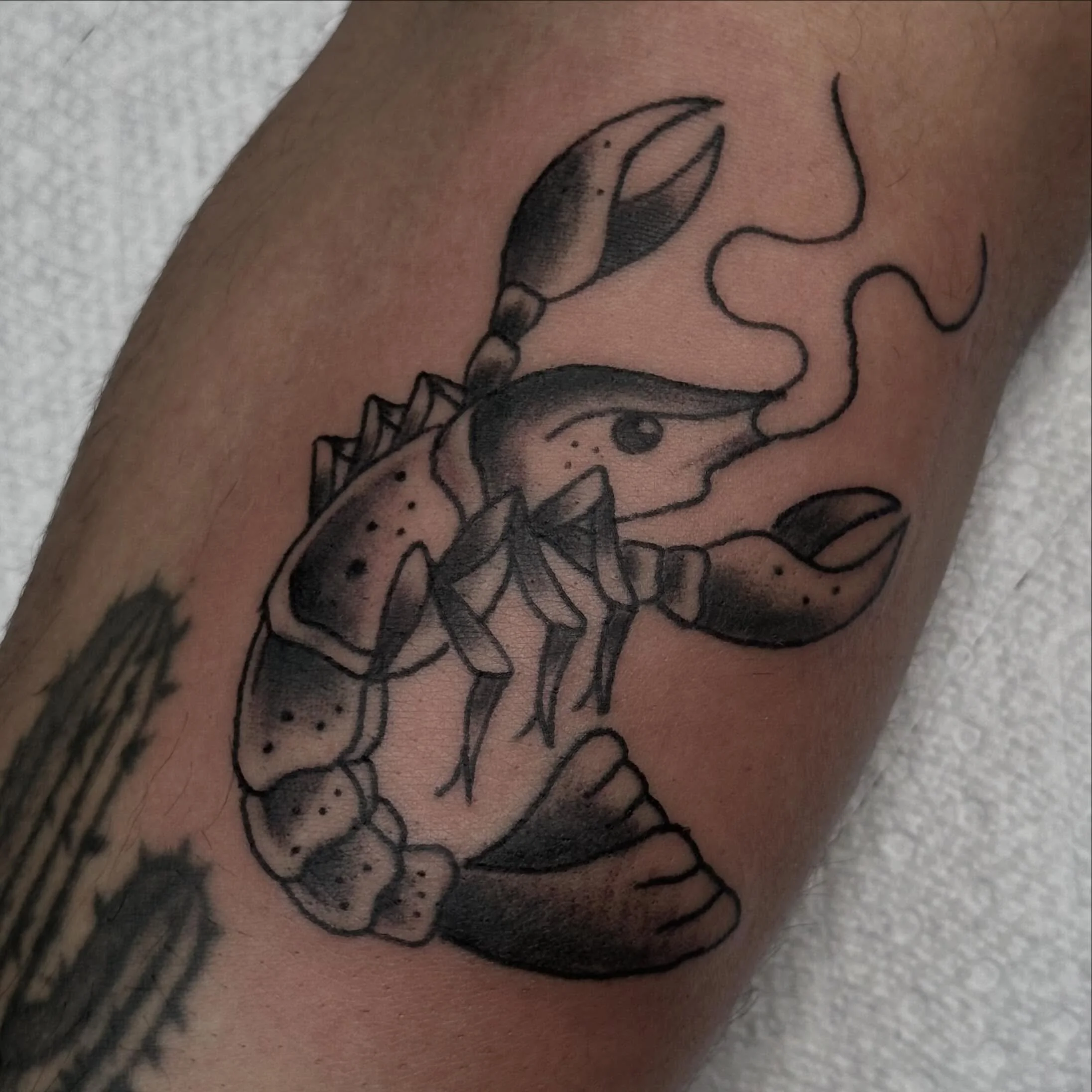 look at this lil guy done by @shanemccormicktattoos 
Reach out to your favorite artist to get on the books!
Walk-ins welcome
Here 12-8 DAILY
(318)-562-3021☎️