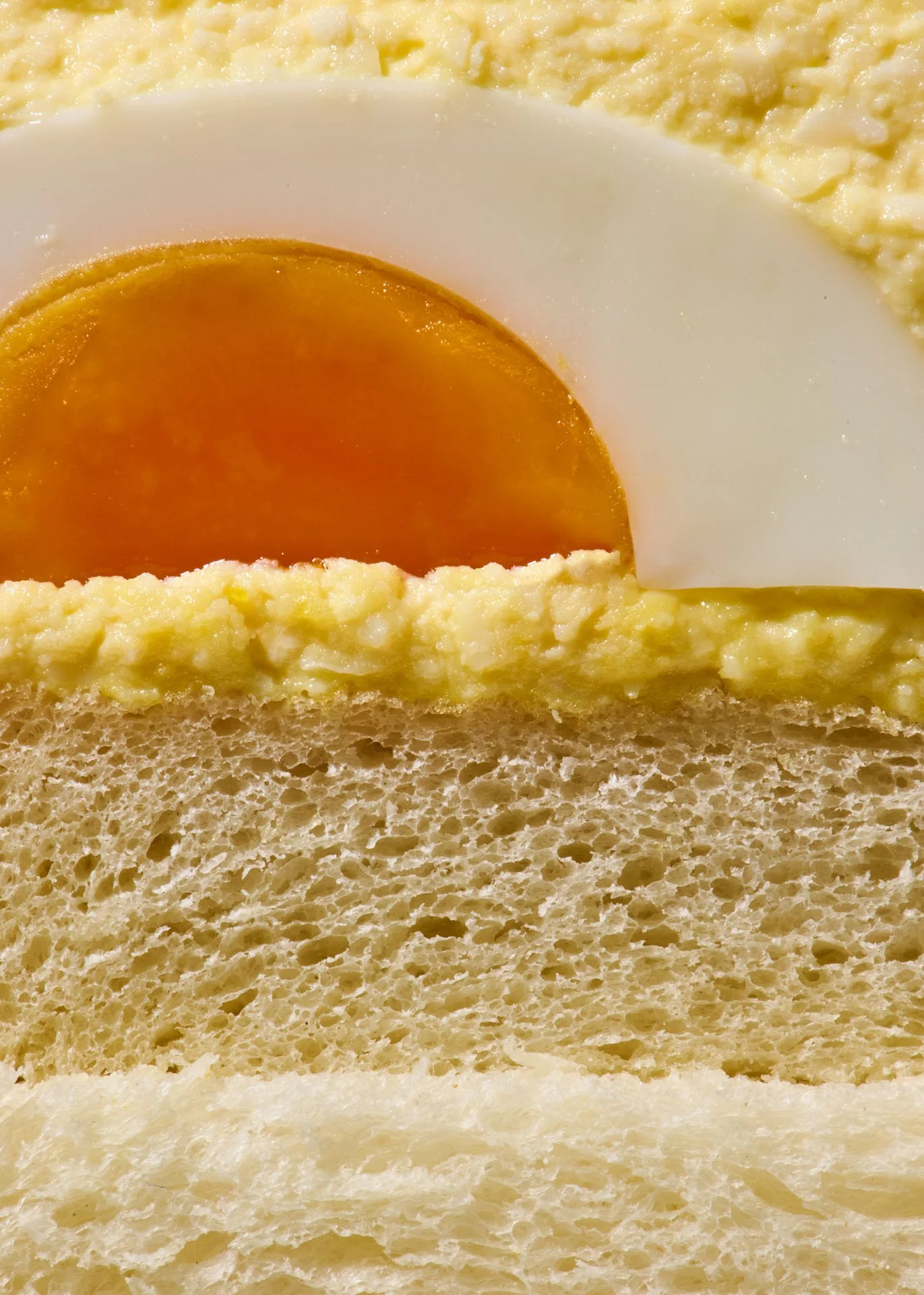 los-angeles-food-photographer-lindsay-kreighbaum-idiot-sandwich-gordon-ramsay-cookbook-photography-la-california-still-life-sandwiches-86.jpg