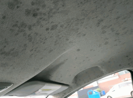 Full Headliner Cleaning