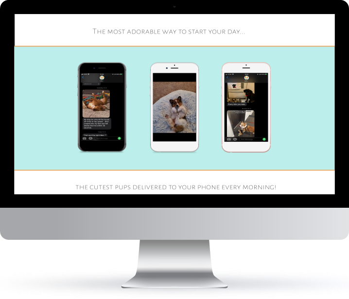 dailydoggomockup2_Desktop Vector Mockup.png