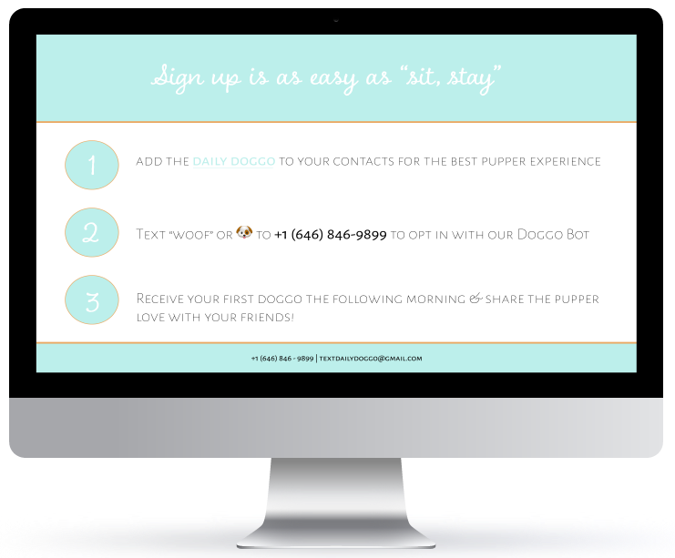 DDmockup3_Desktop Vector Mockup.png