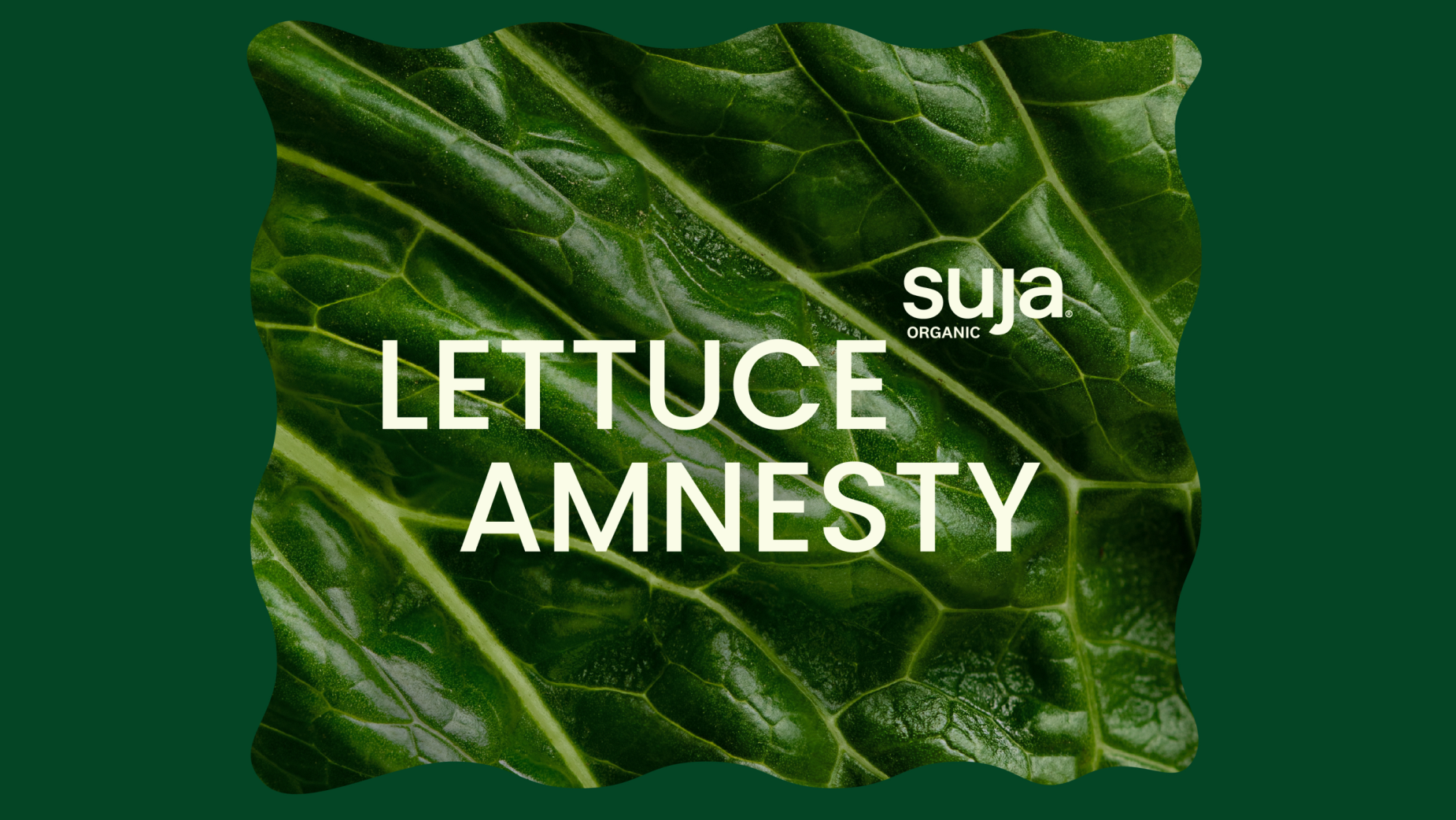 Suja