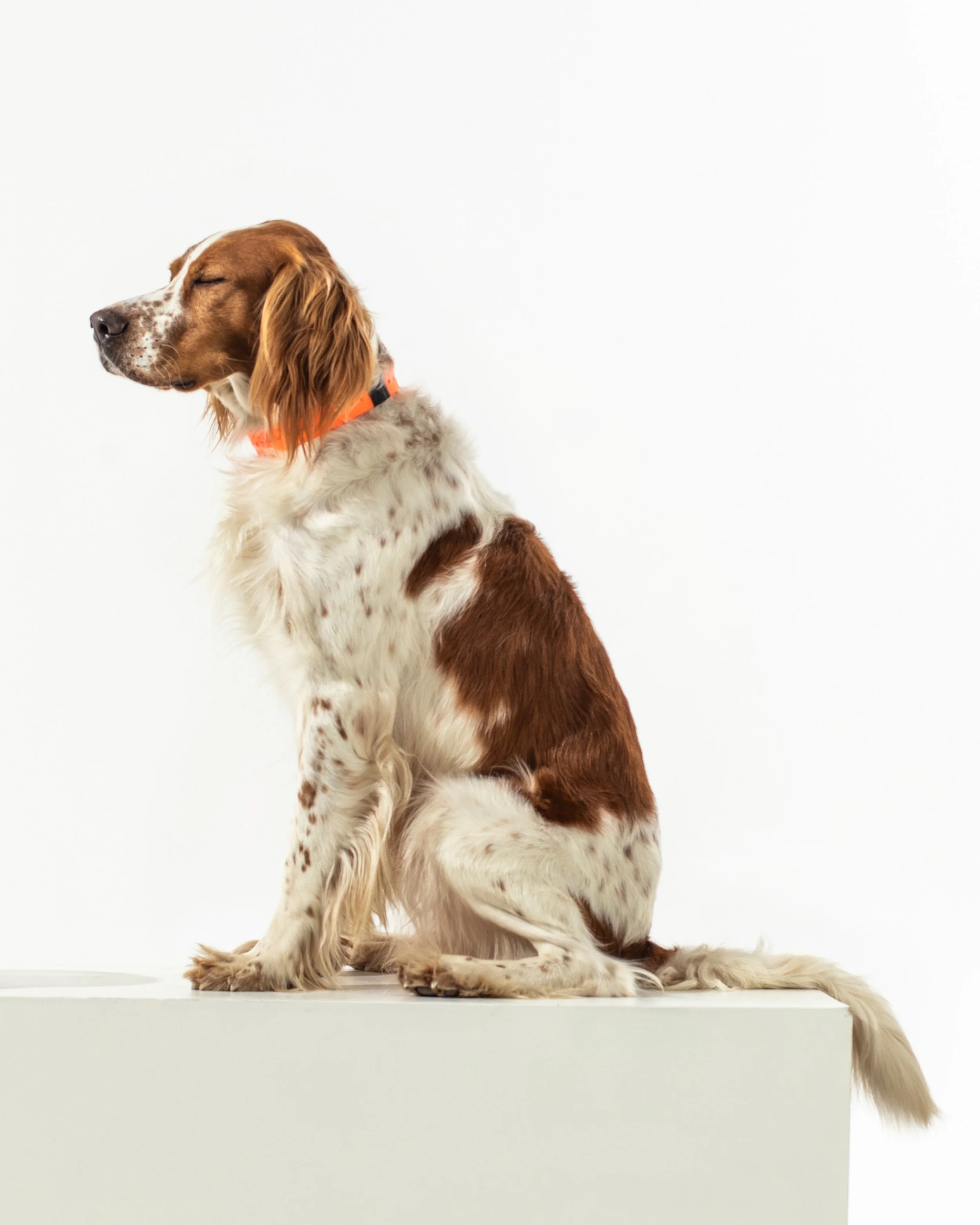 Copy of Dowell_Gunner STUDIO--22.jpg