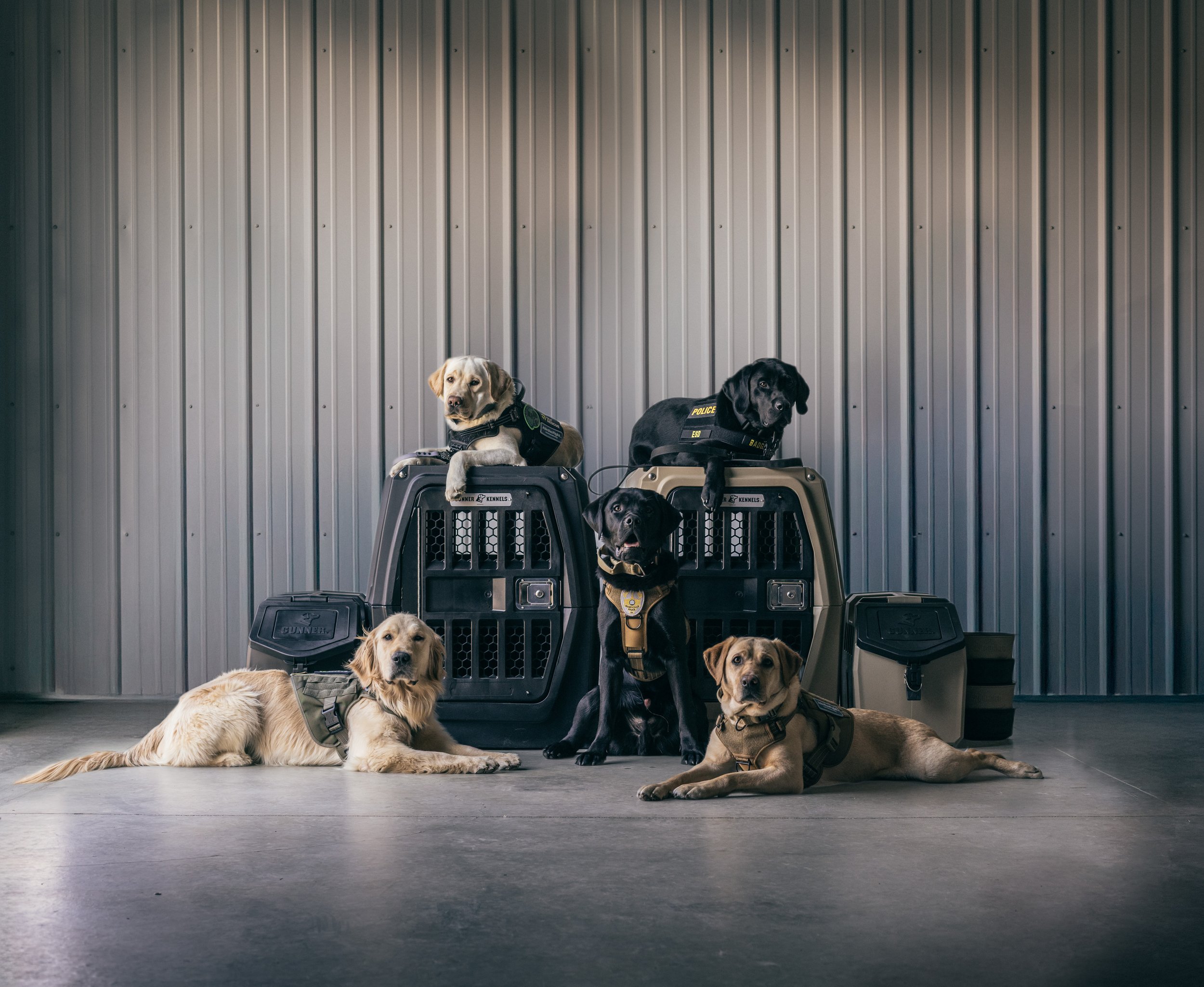 GUNNER x DETECTION K9