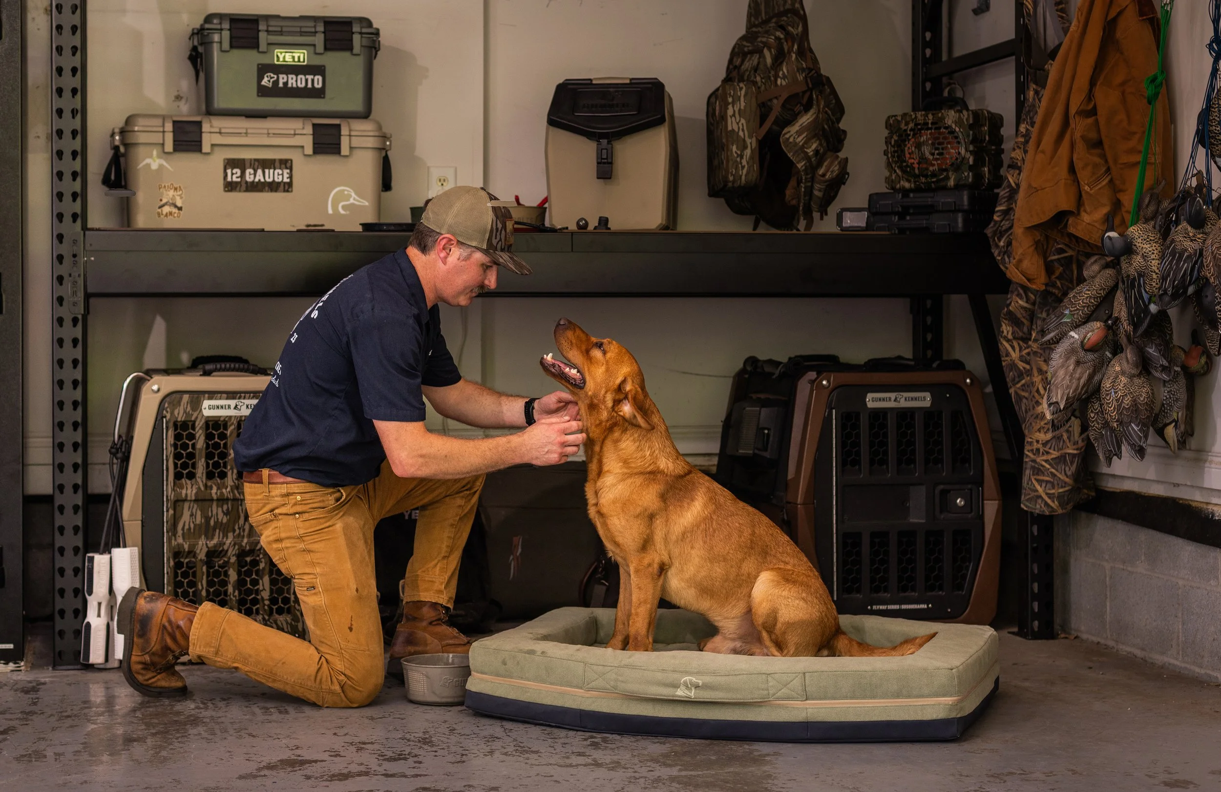 A man kneels on the floor in a garage, holding a dog's chin, as the dog sits on a bed and looks up at the man. The garage has shelves with storage containers, backpacks, and camouflage clothing, along with pet crates and hunting gear.