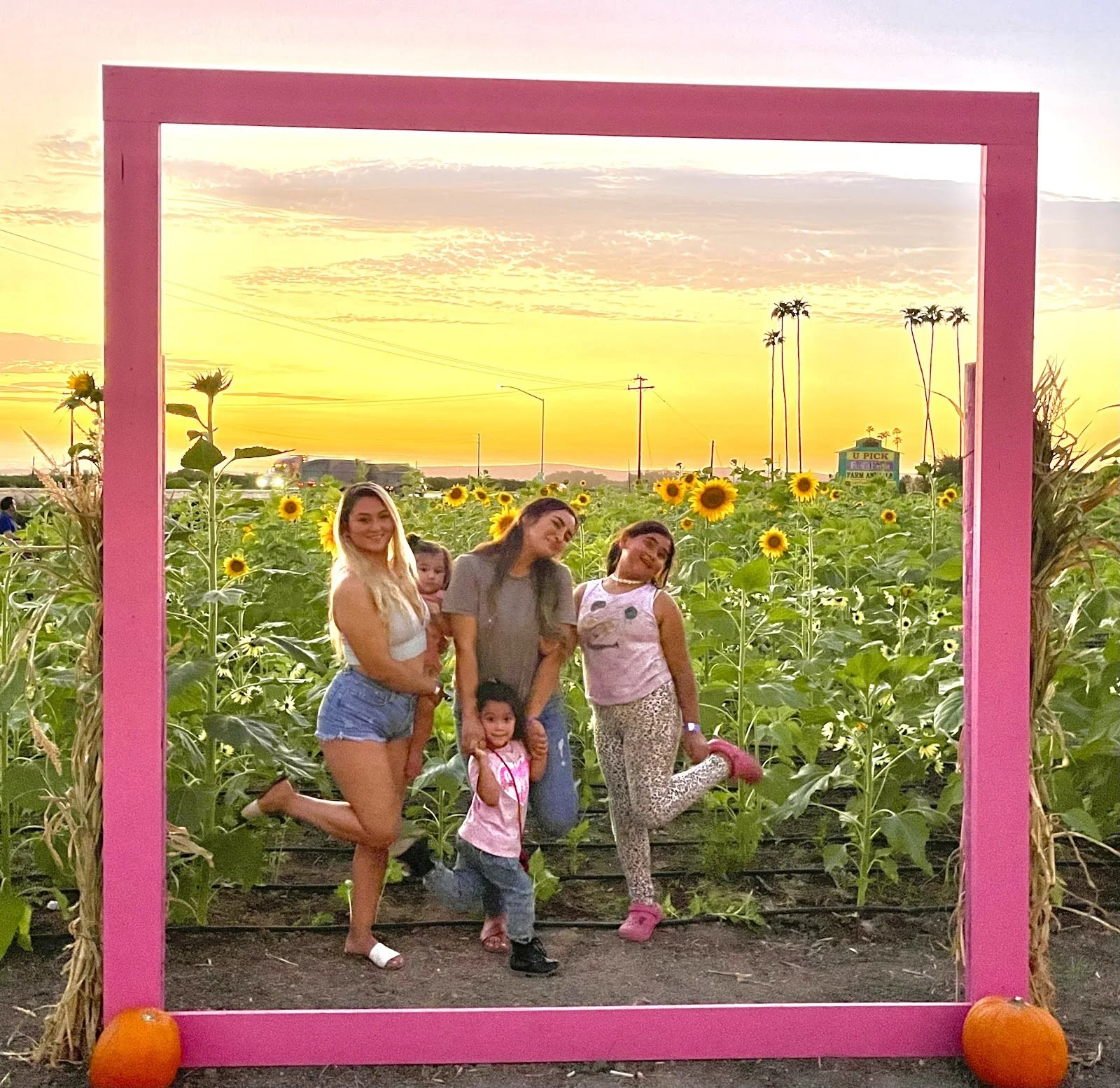 Family at the sunset sunflower photo frame at the farm