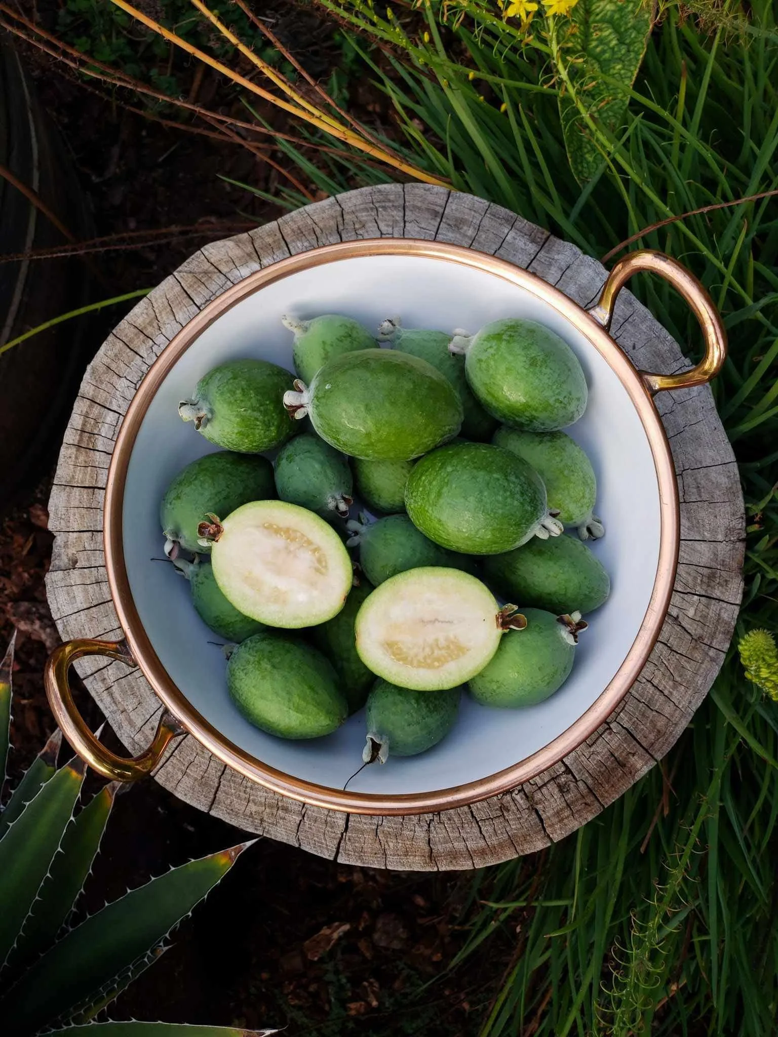 Pineapple Guava in bowl at Farmers Market