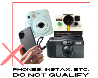 infographic of cameras that are not considered professional