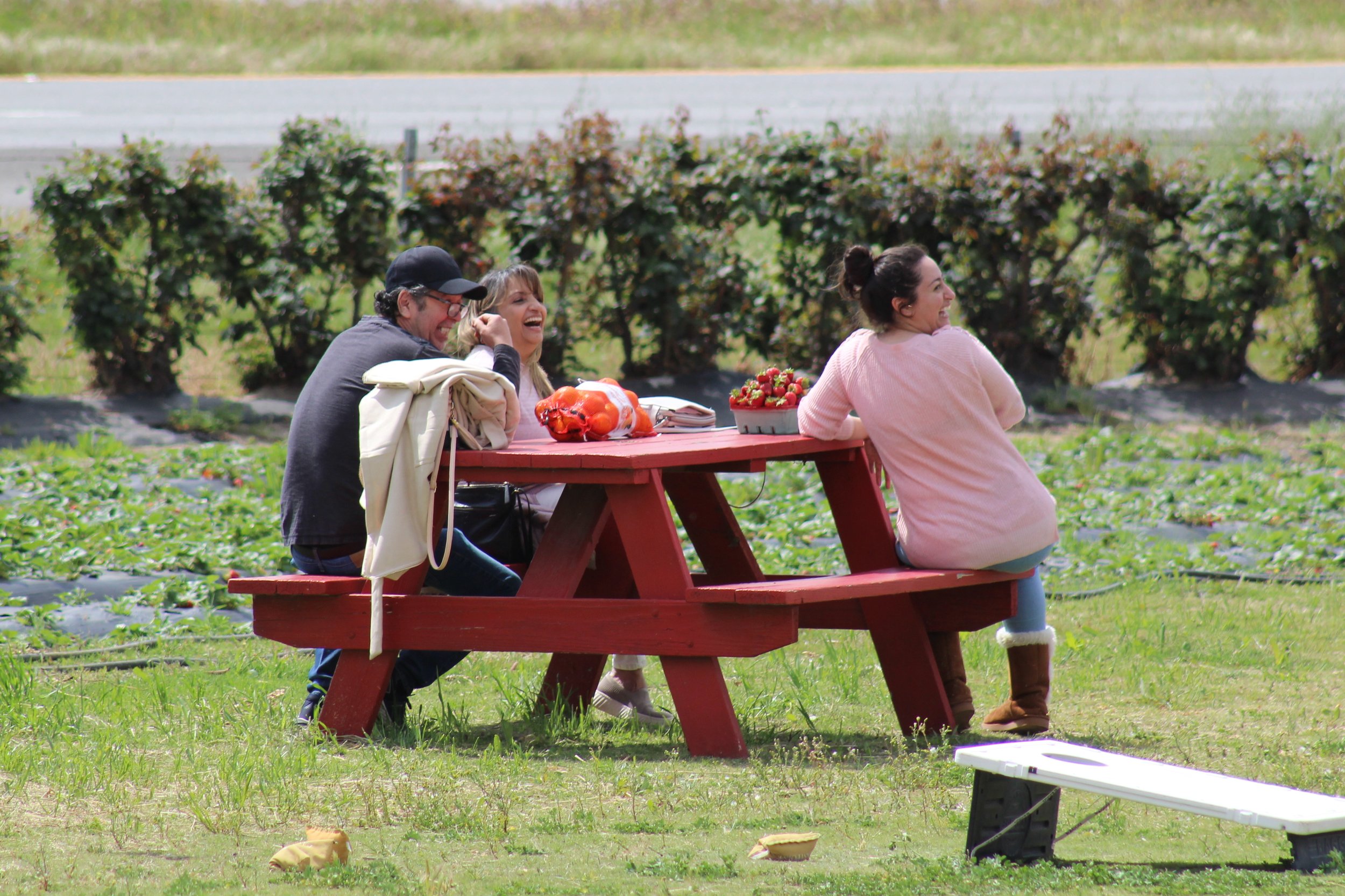 Family at Picnic Strawberry Picking