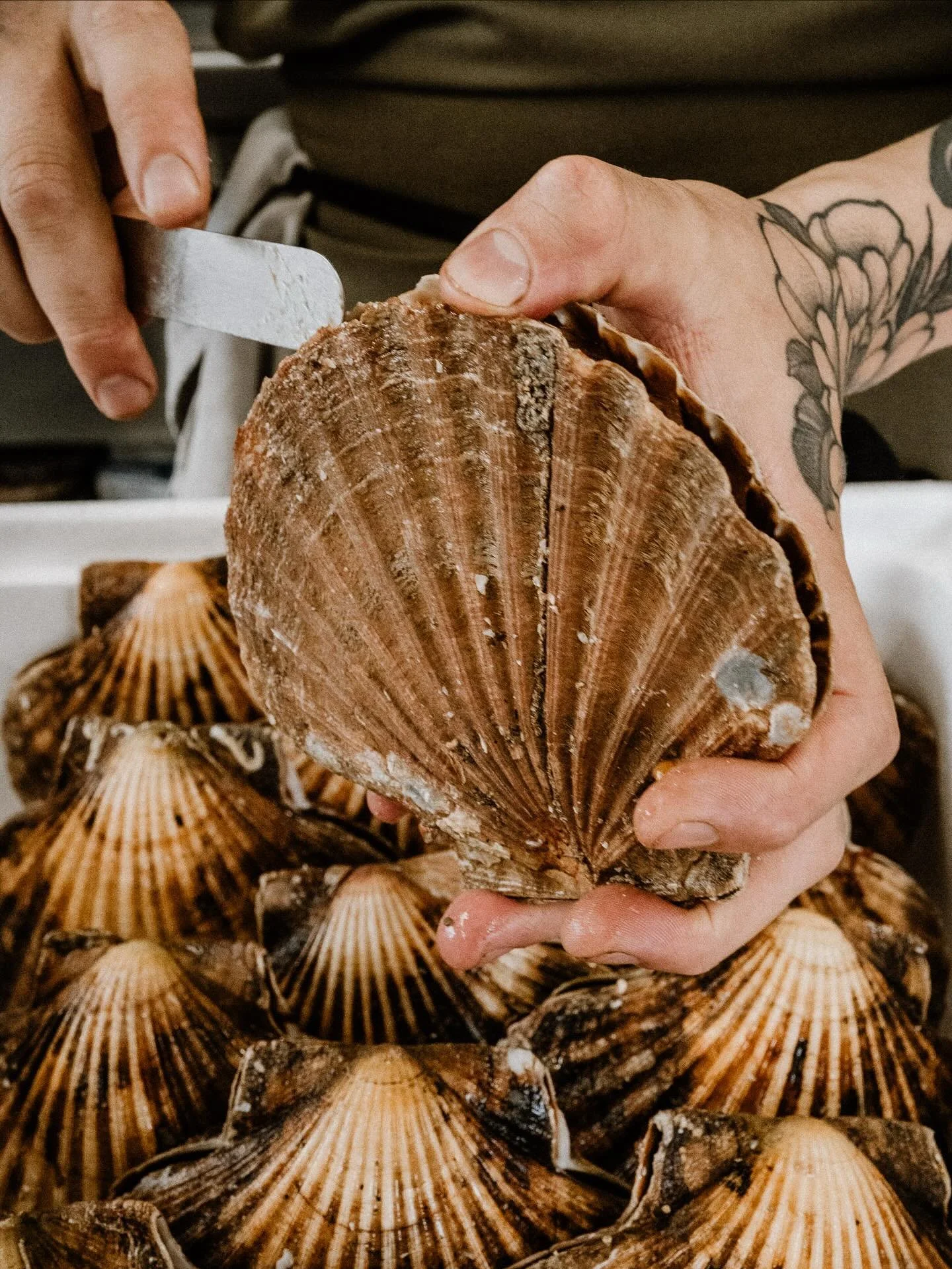 @restaurantmyse 🐚