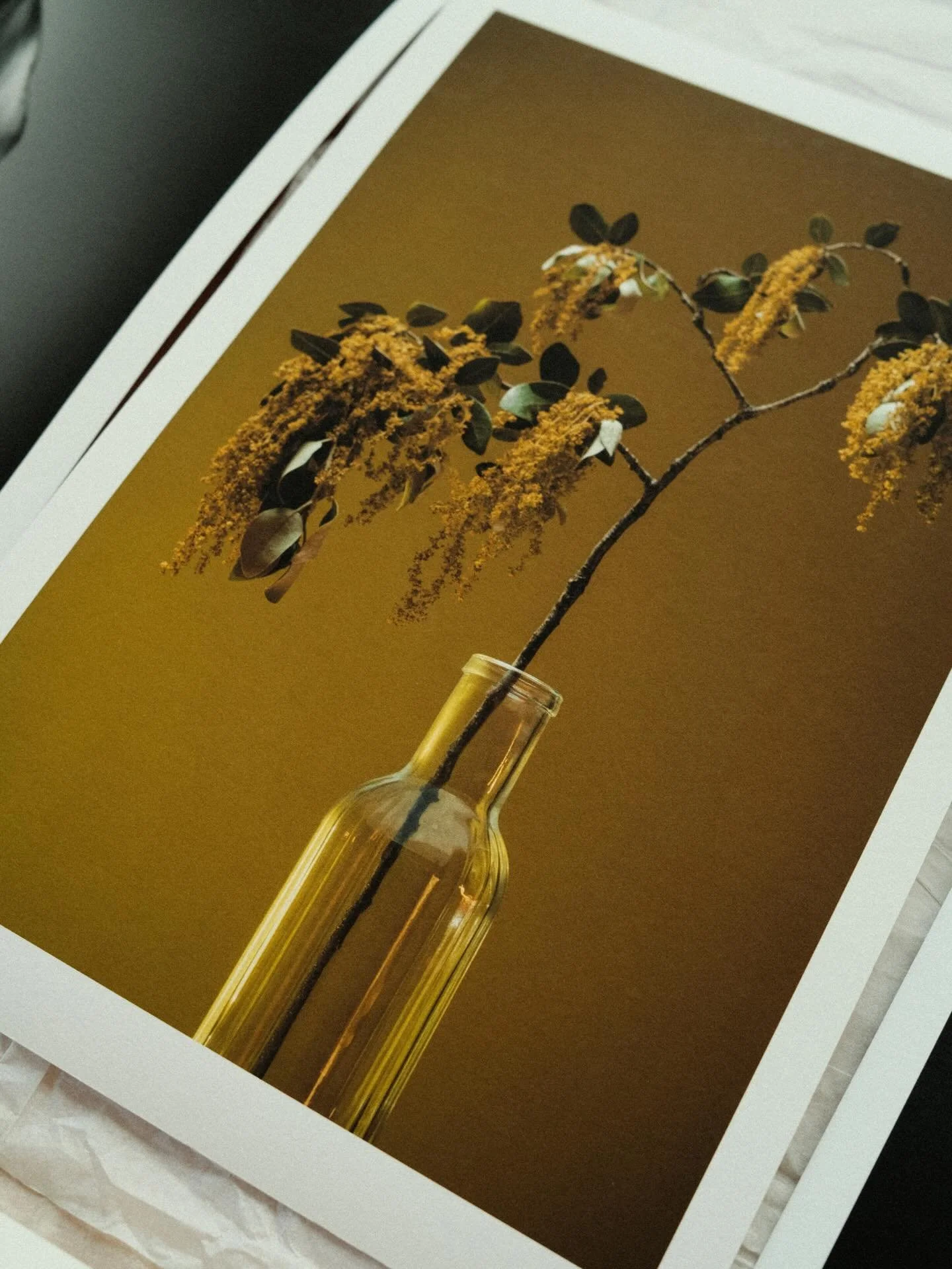 Exhibition hung! Just a few bits &amp; bobs left to organise before tomorrow. @studiobyrockgarden ✨