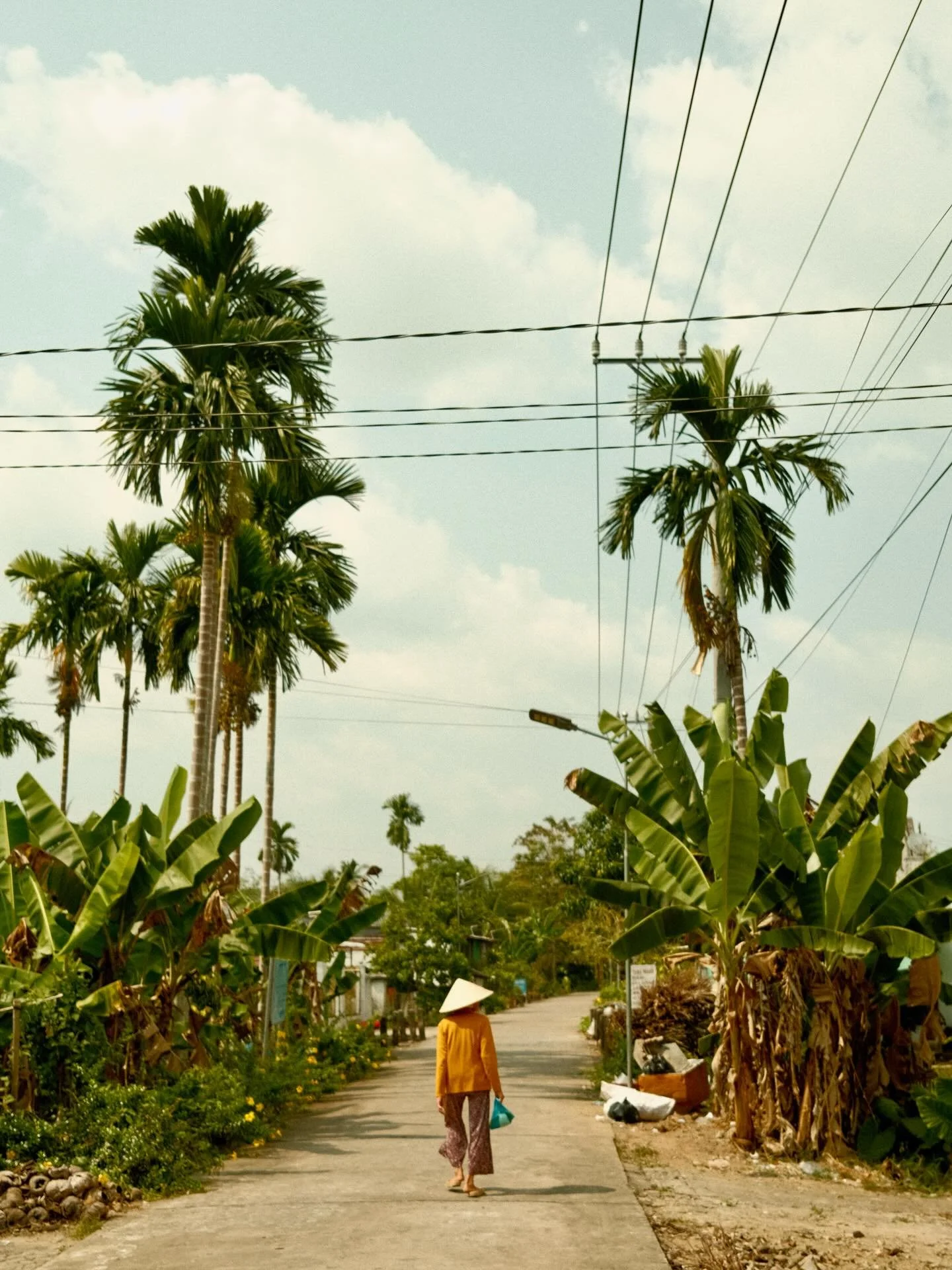 Can Tho 

18th - 22nd January

After two days in the city (mostly spent in bed after catching a cold), we headed to the outskirts. We felt a bit isolated at first, but it turned out to be the most interesting and authentic place we visited. Locals we