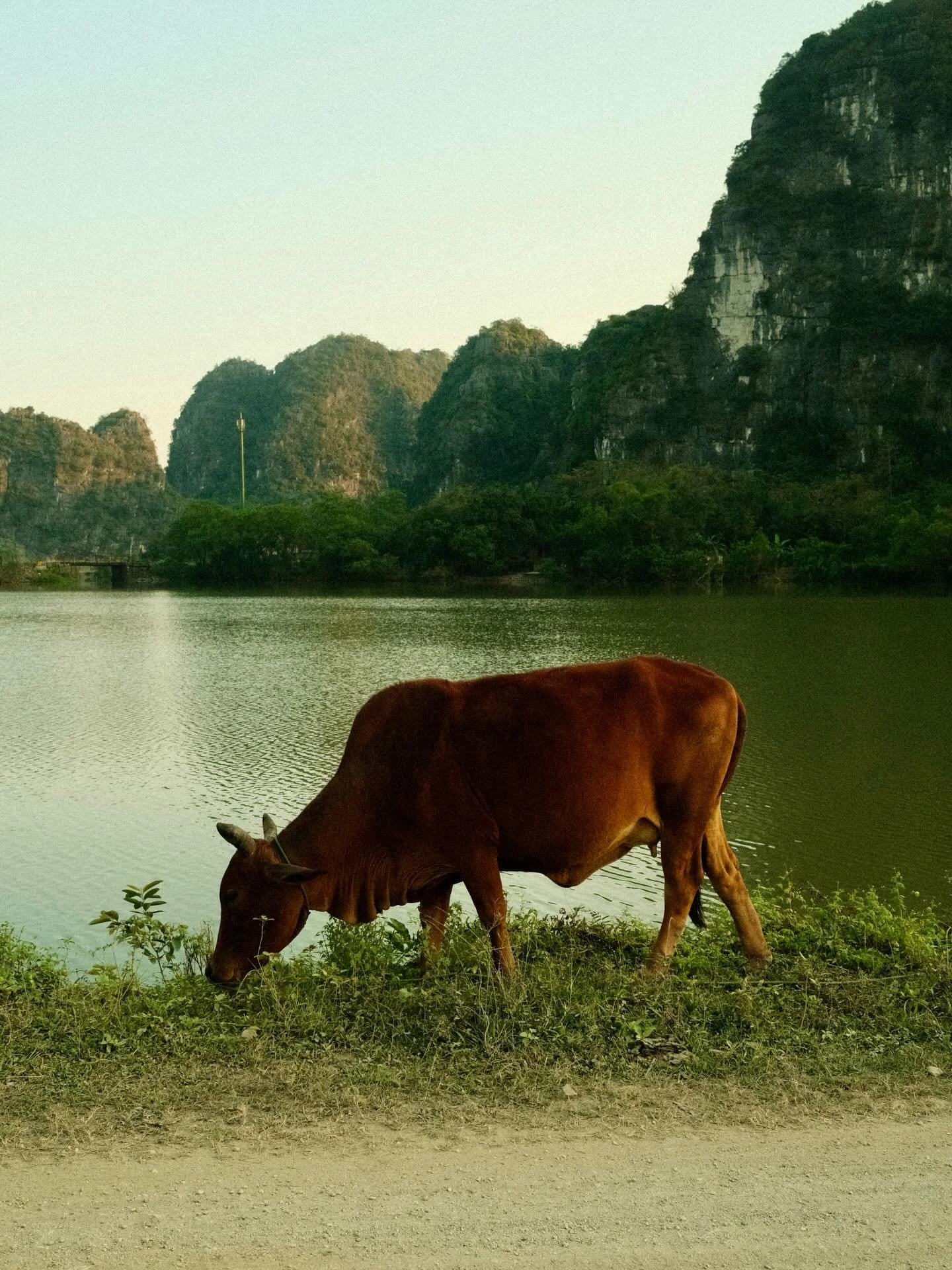 Phong Nha 

9th - 13th January 

Highlights - cycling around &amp; observing the incredible landscapes, crossing the river on a wooden raft (the ferry) with our bikes, exploring local villages &amp; high fiving the children as we cycled past, kayakin