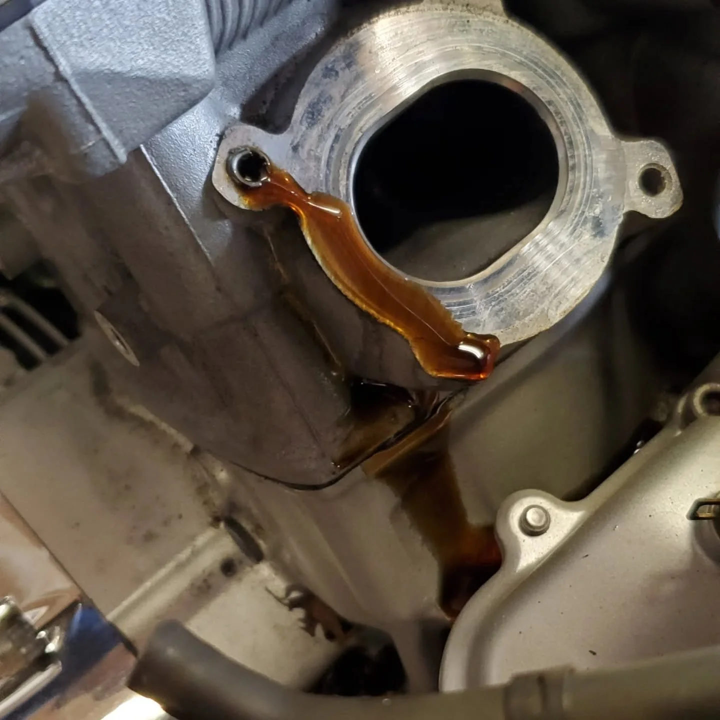 #yamaha #oilleak #diagnosis #service #repair #mobilemechanic #stlouis #stcharlesmo