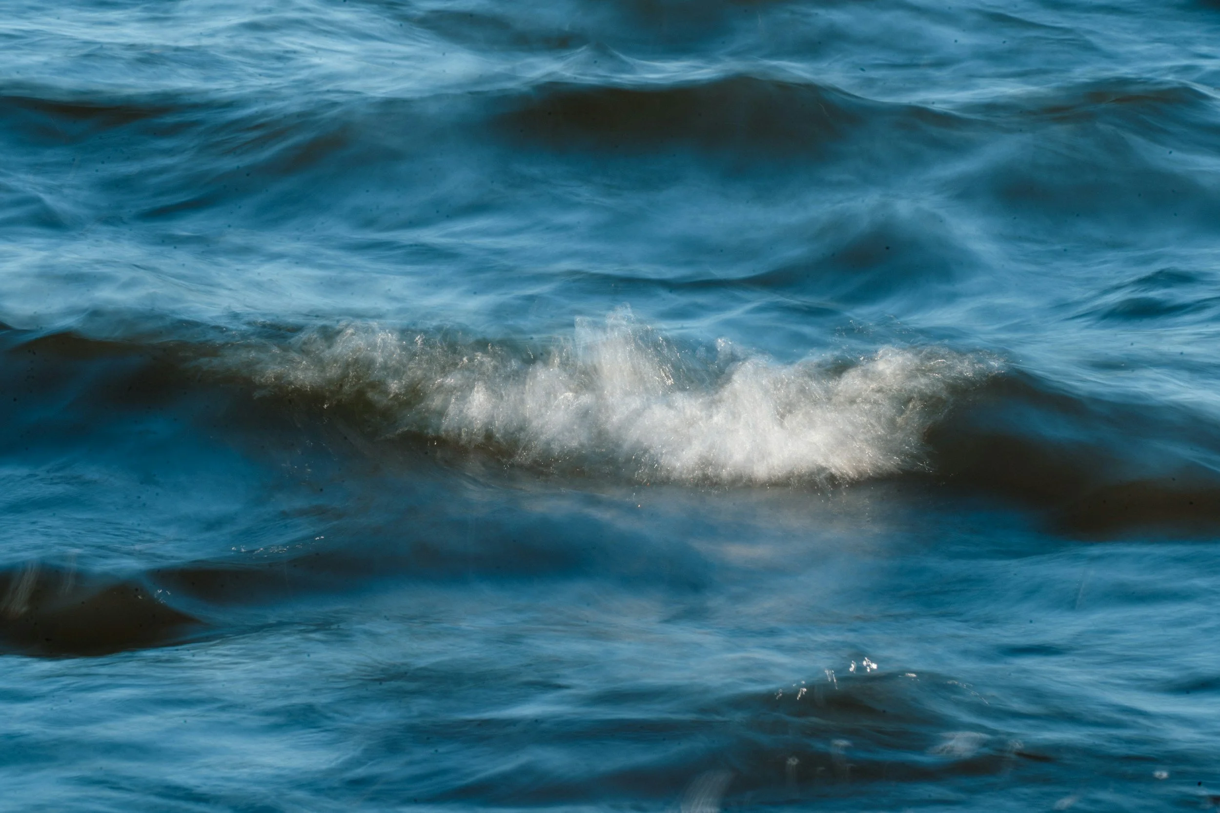 Soul Weather February: Trust the Whale, Ride the Momentum | High-Speed Migration