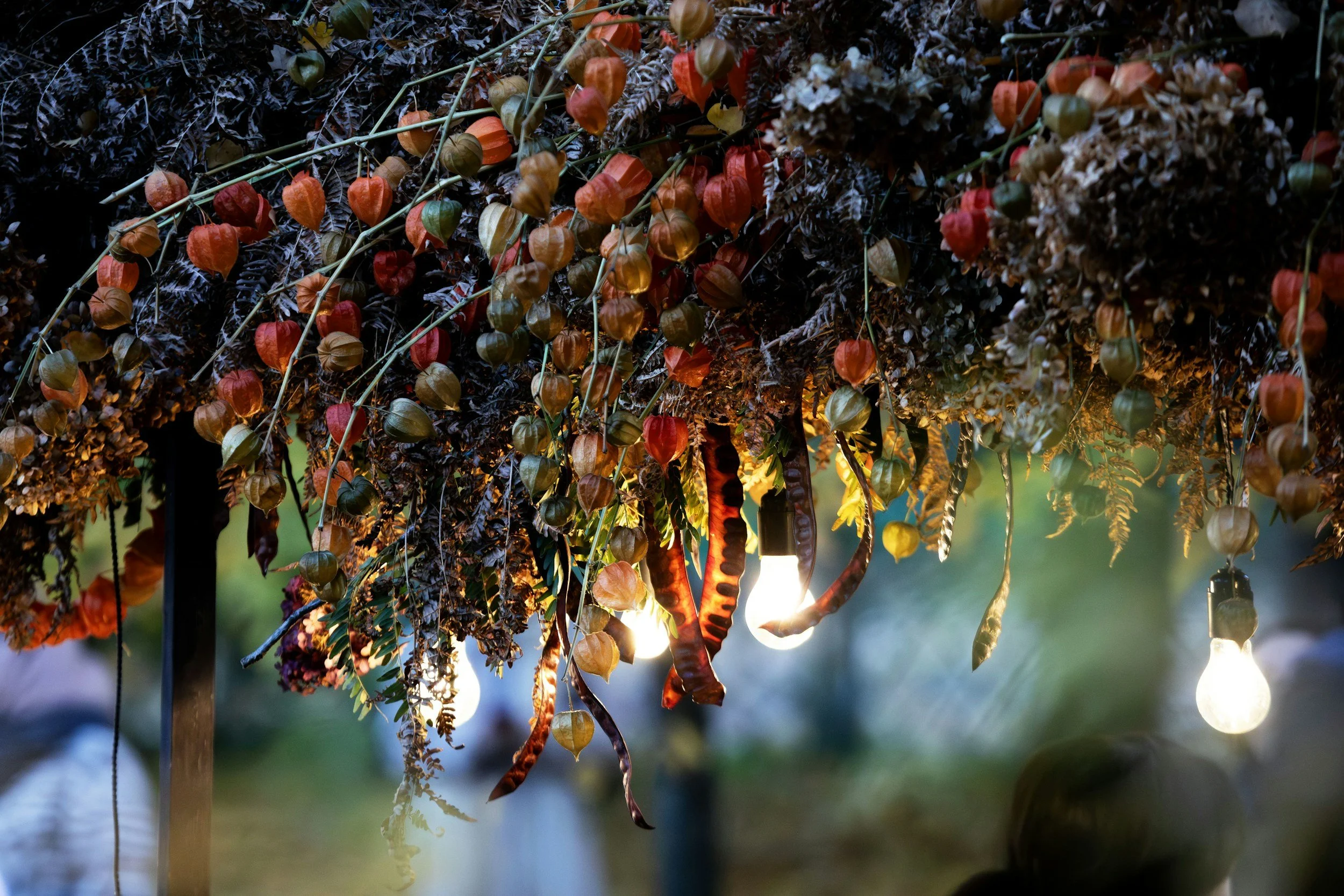 September Energy Check-In: Transforming Turbulence into Oneness with Dany Lyne