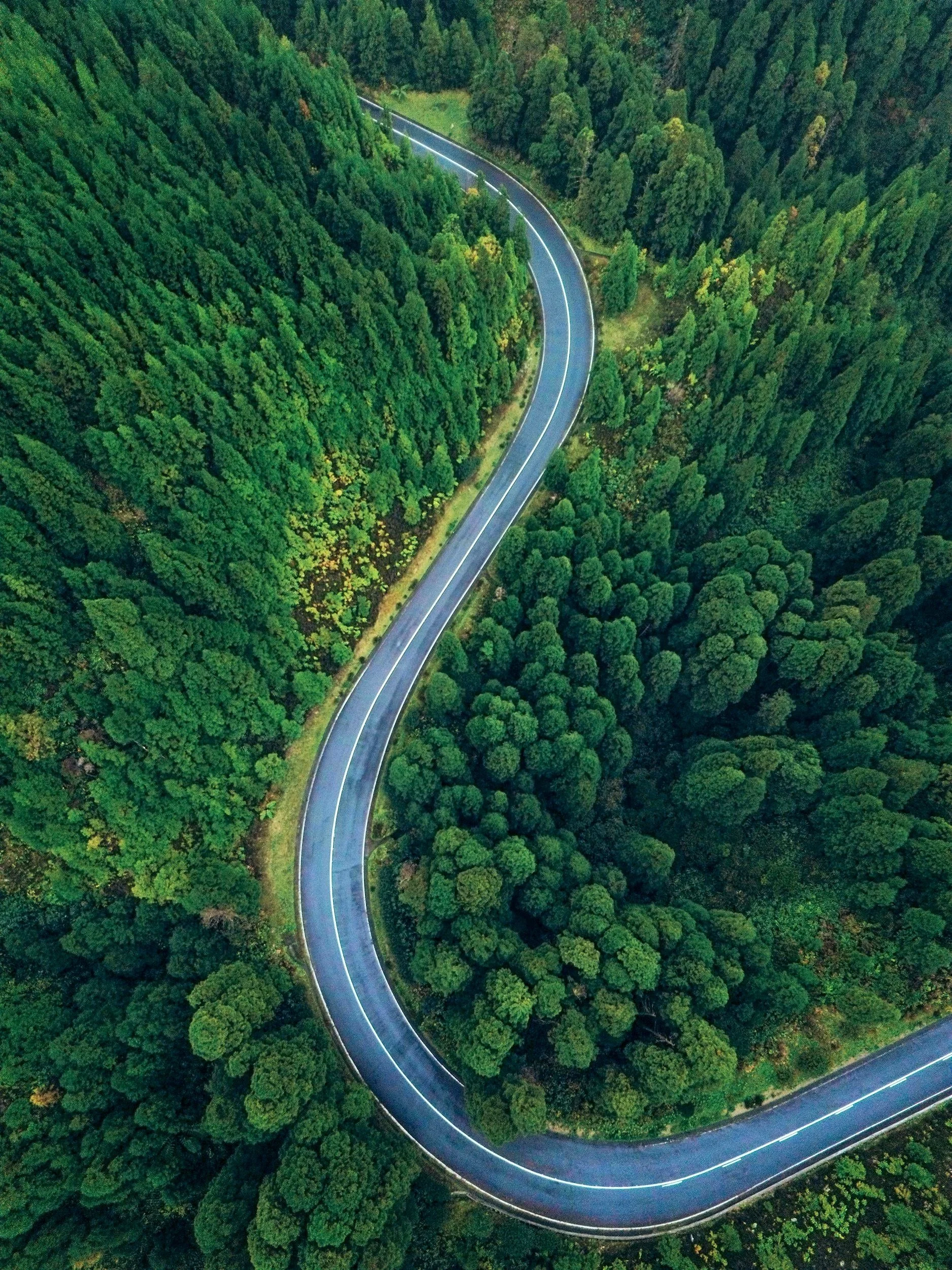 unsplash-image-Usy12zpjZ5Y.jpg