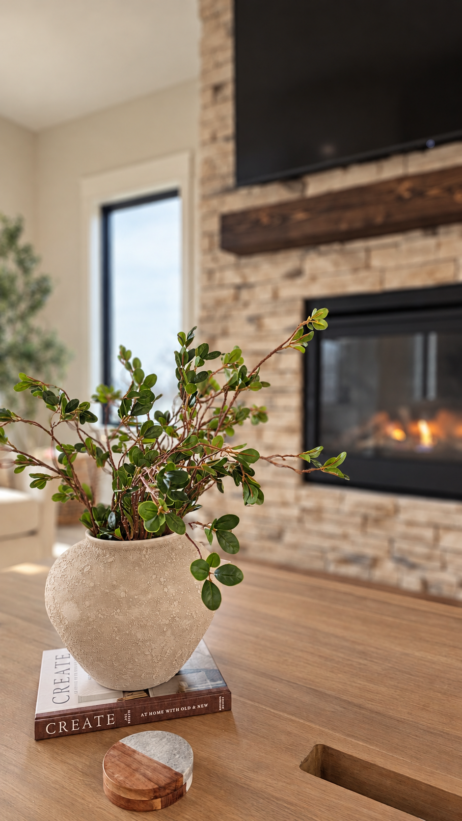 A potted green plant with small round leaves on a wooden table, with fireplace and window in the background.
