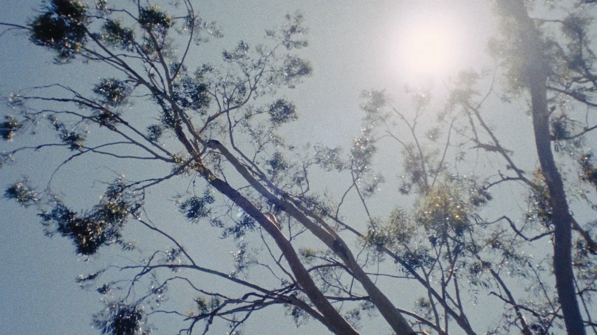 Timeline 1_01_00_45_09.jpg