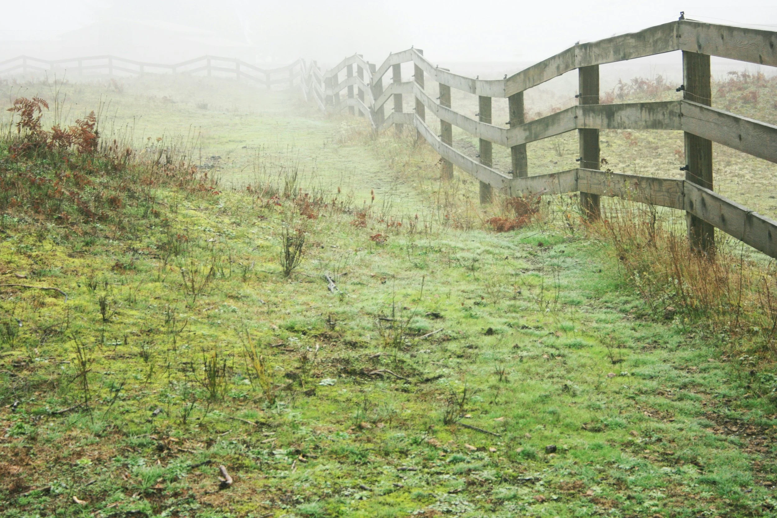 The Difference Between Boundaries and Walls (And Why It Matters)