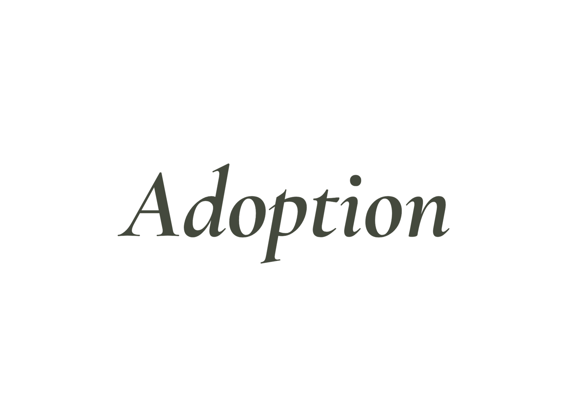 Adoption Counseling in Louisiana, Ohio, and Minnesota