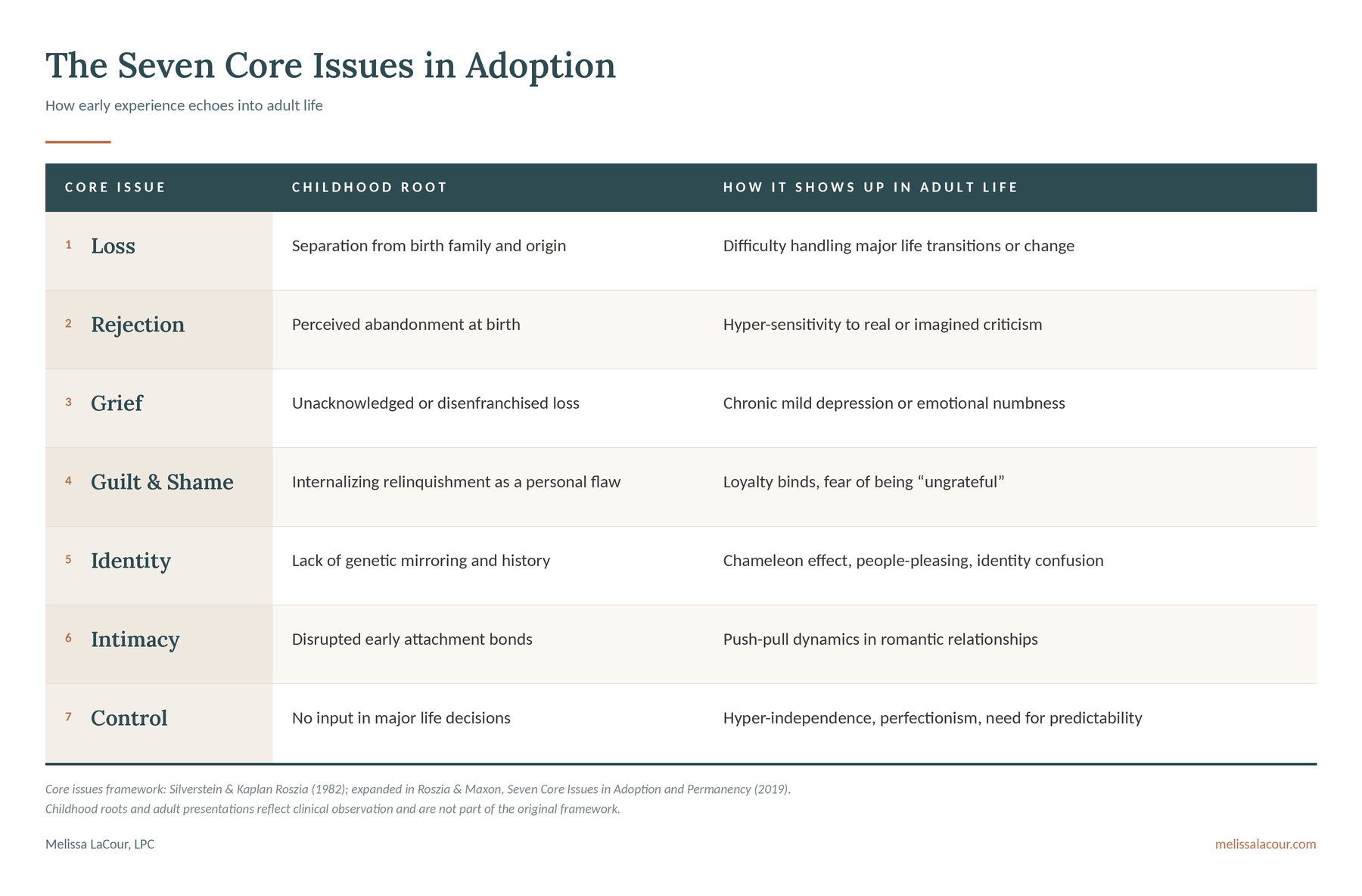7 Core Issues in Adoption