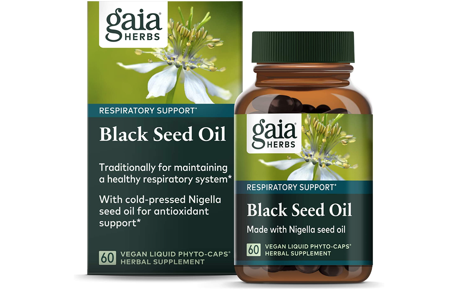 Screen Shot 2023-05-26 at 4.03.47 PM.png