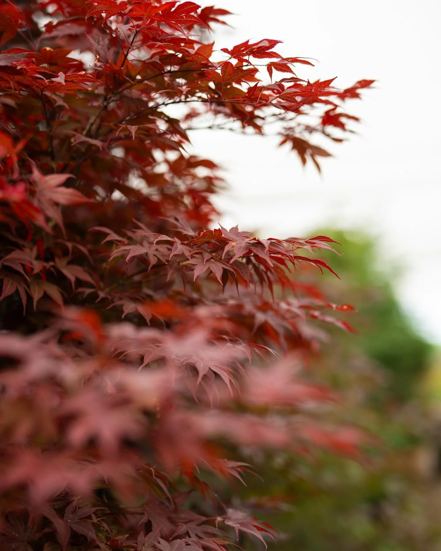 Those fall temps are coming 🍂 and reminding me of this shoot with @terrain_workshop &amp; @romarketingco a few months ago. Love the work they do! 🌱
