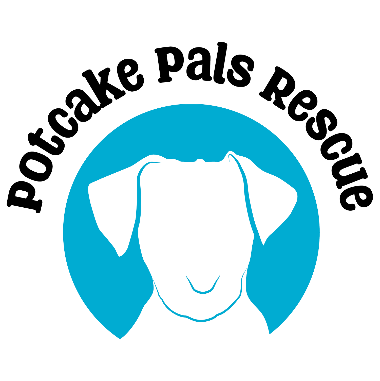 Our Pups Potcake Puppy Palace our-pups-potcake-puppy-palace