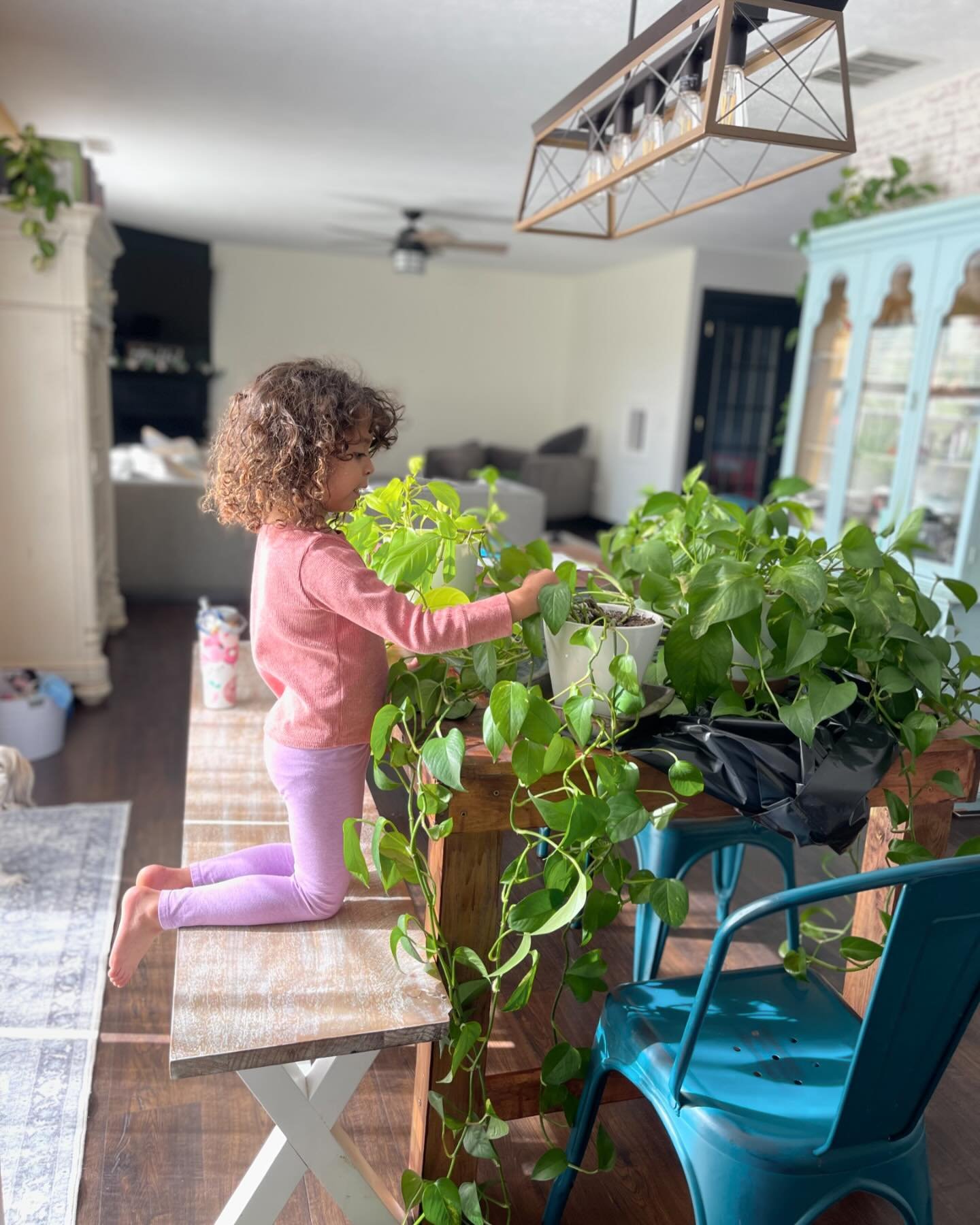 This chilly Indiana Saturday morning consisted of caring for my plant babies. These pothos don&rsquo;t require a ton of work, it&rsquo;s done on a biweekly basis. 

I loved sharing this experience with Juliana. She learned all about watering and how 