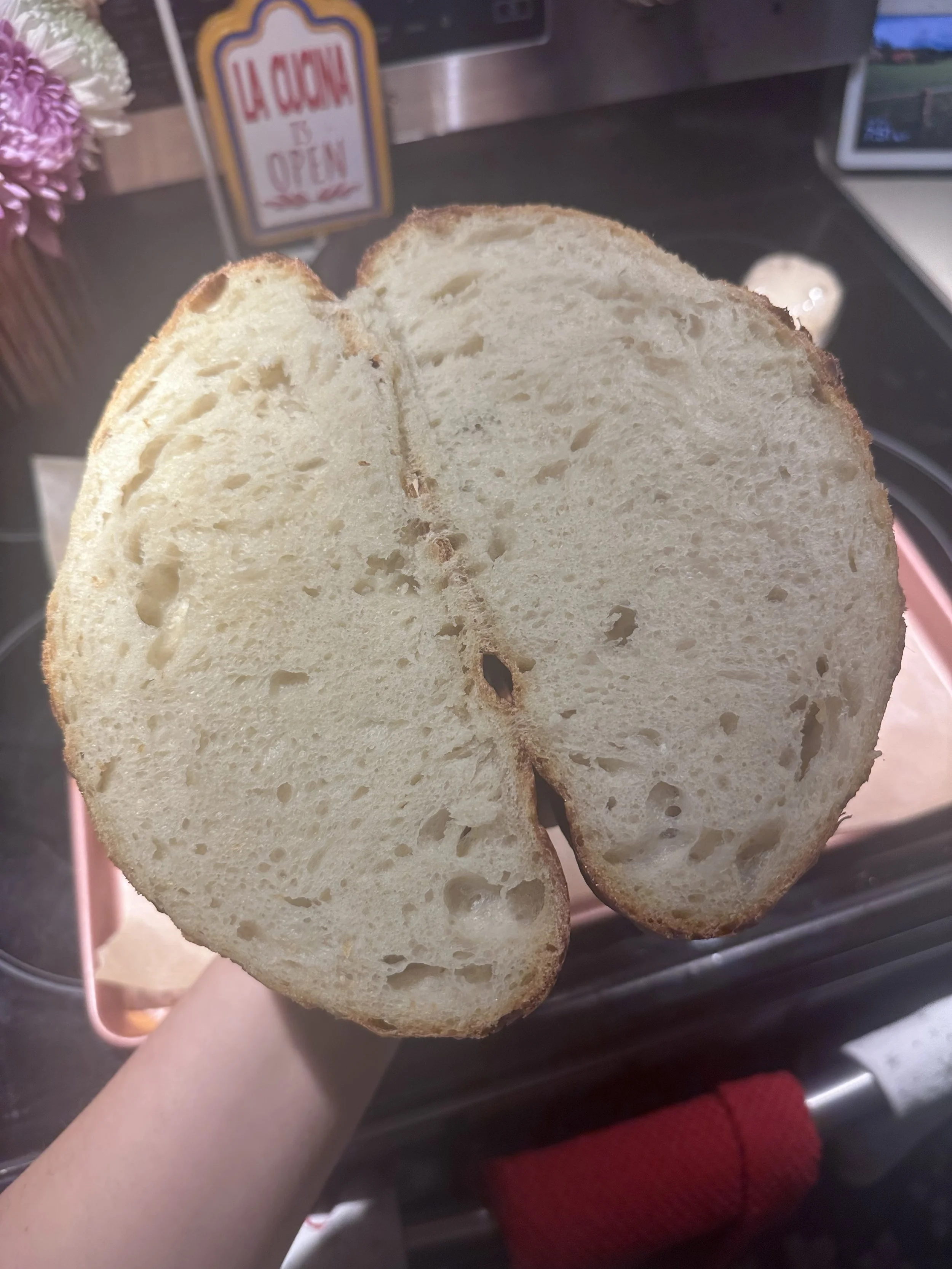 Sourdough Starter Troubleshooting