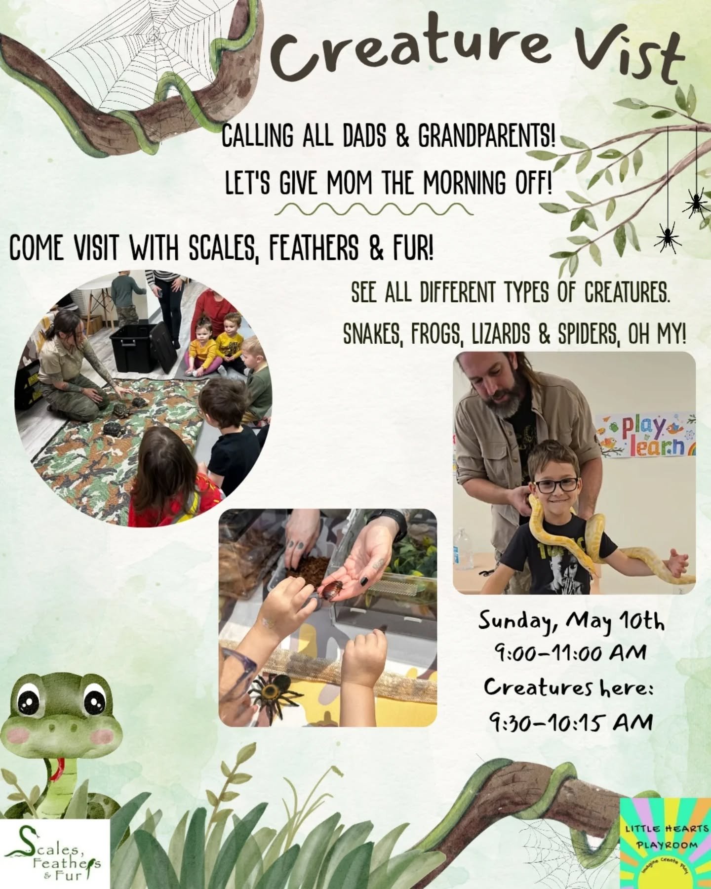 Send Dad or the Grandparents to the playroom with your kids on Mother's Day to give mom the morning off!

@scales.feathers.fur.ma puts on an amazing program that you will want to come back for again and again!!

They even feature a mammal at each pro