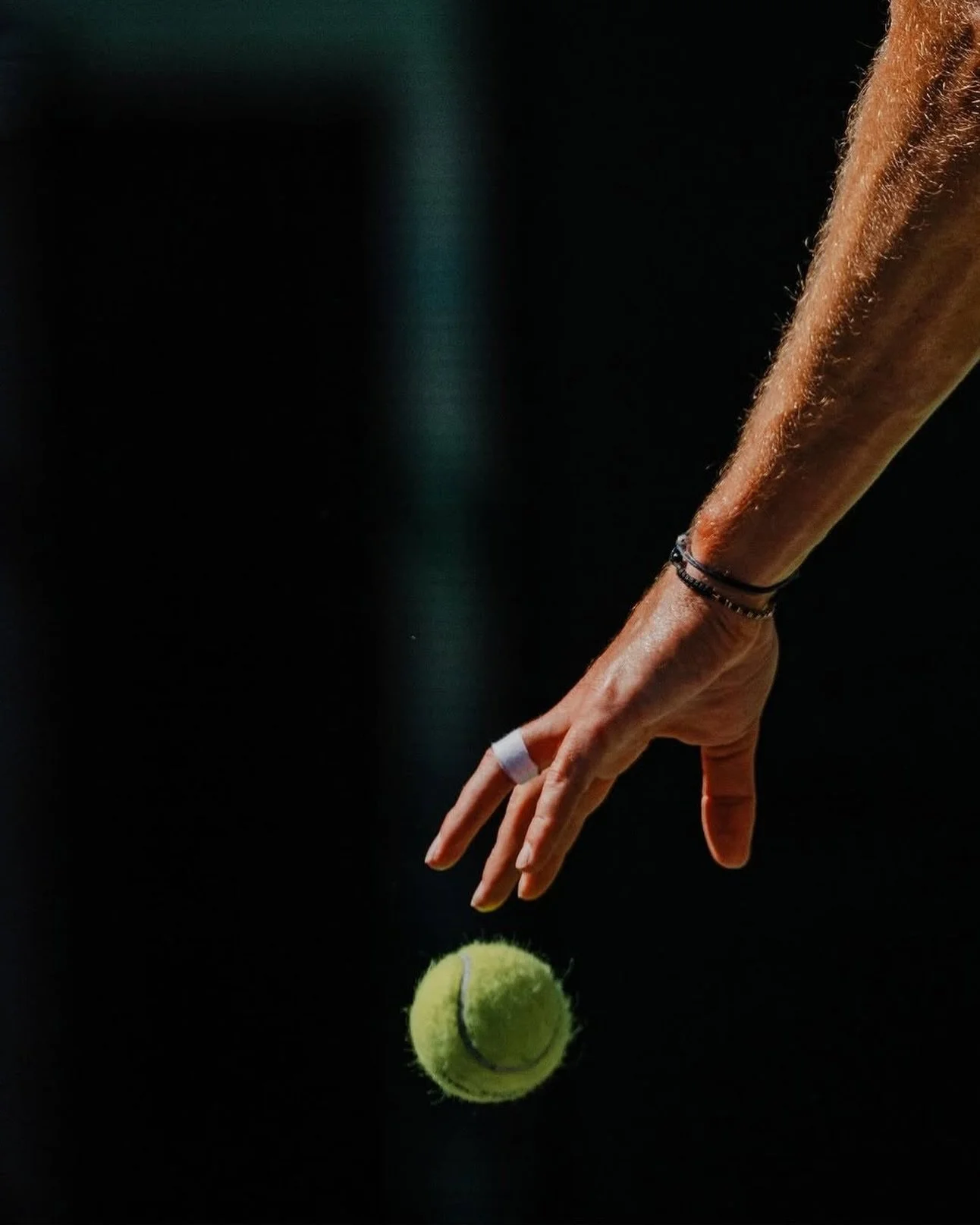 Curated for the competitive.