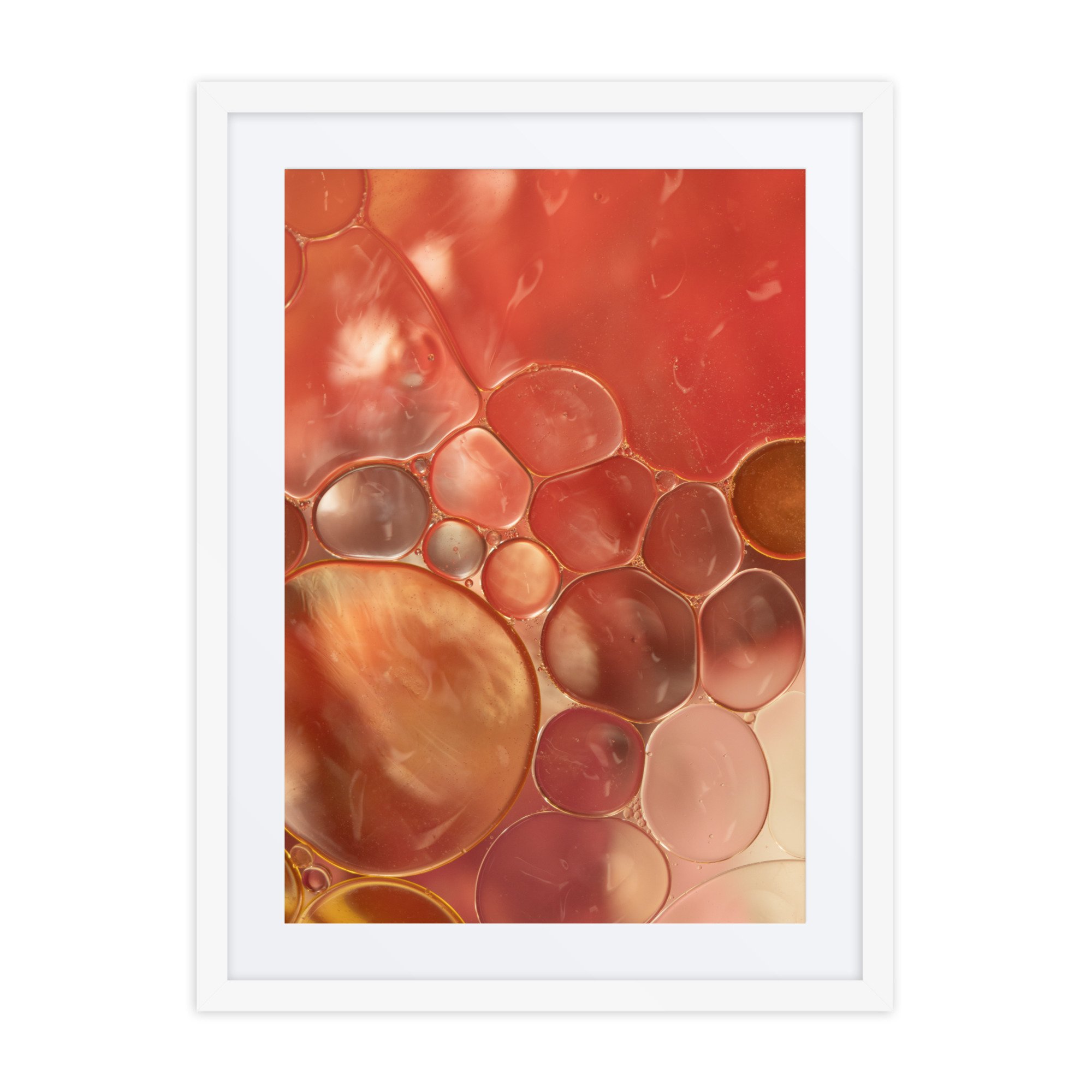 matte-paper-framed-poster-with-mat-(in)-white-18x24-front-672ea220739e3.jpg