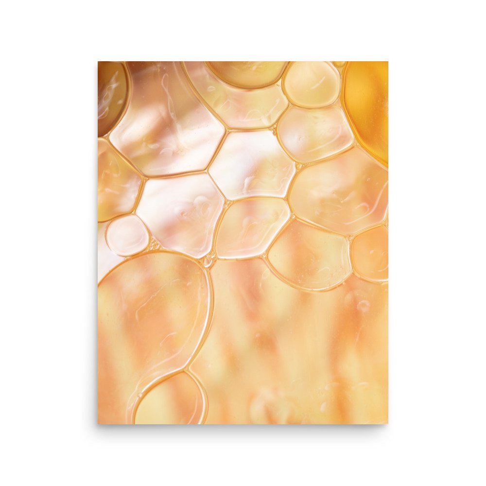 enhanced-matte-paper-poster-(in)-16x20-front-672ea283aedac.jpg